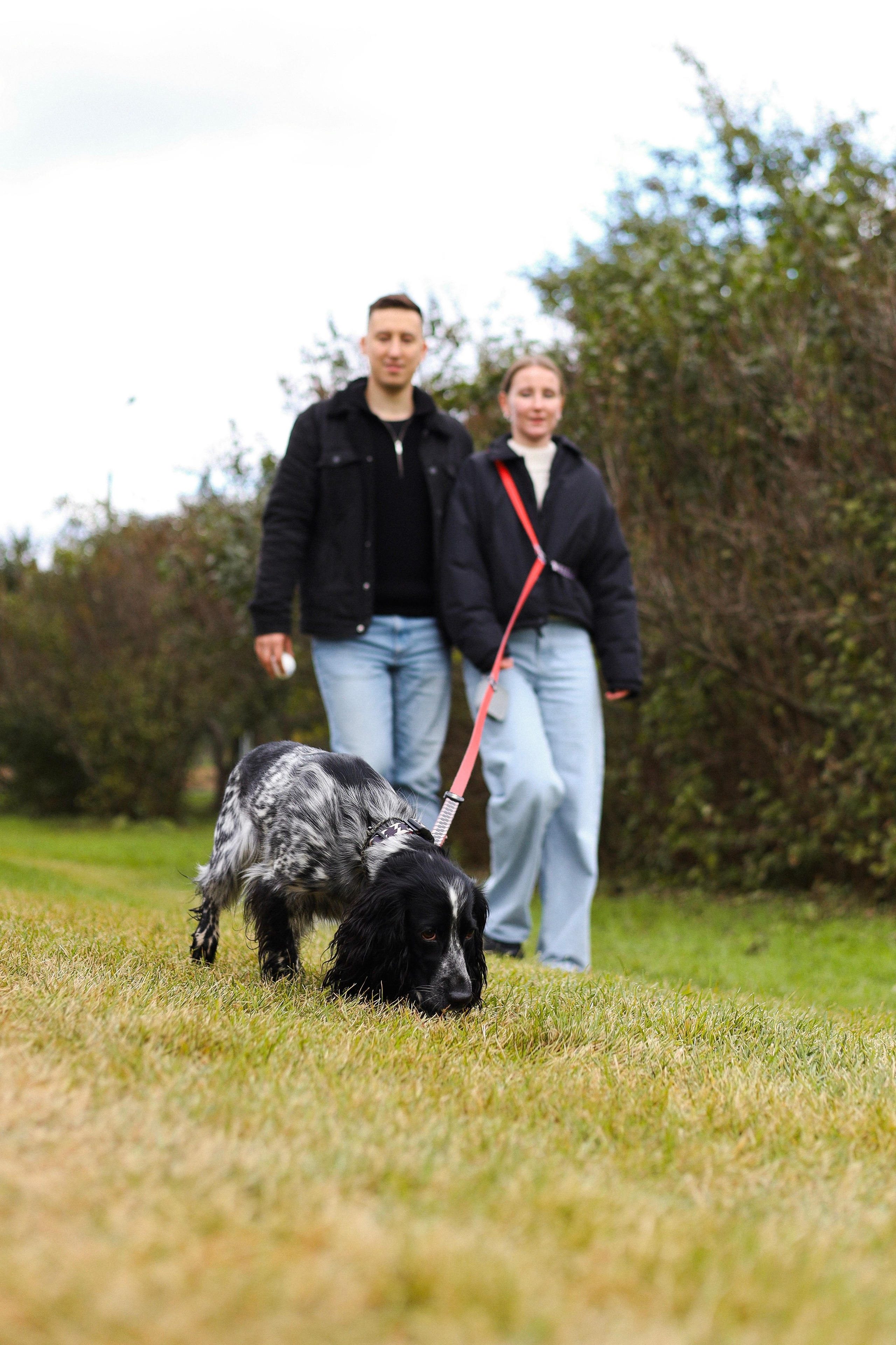 Милка, Вероника и Тимофей. Фотограф-анималист Ксения Шевцова|Москва