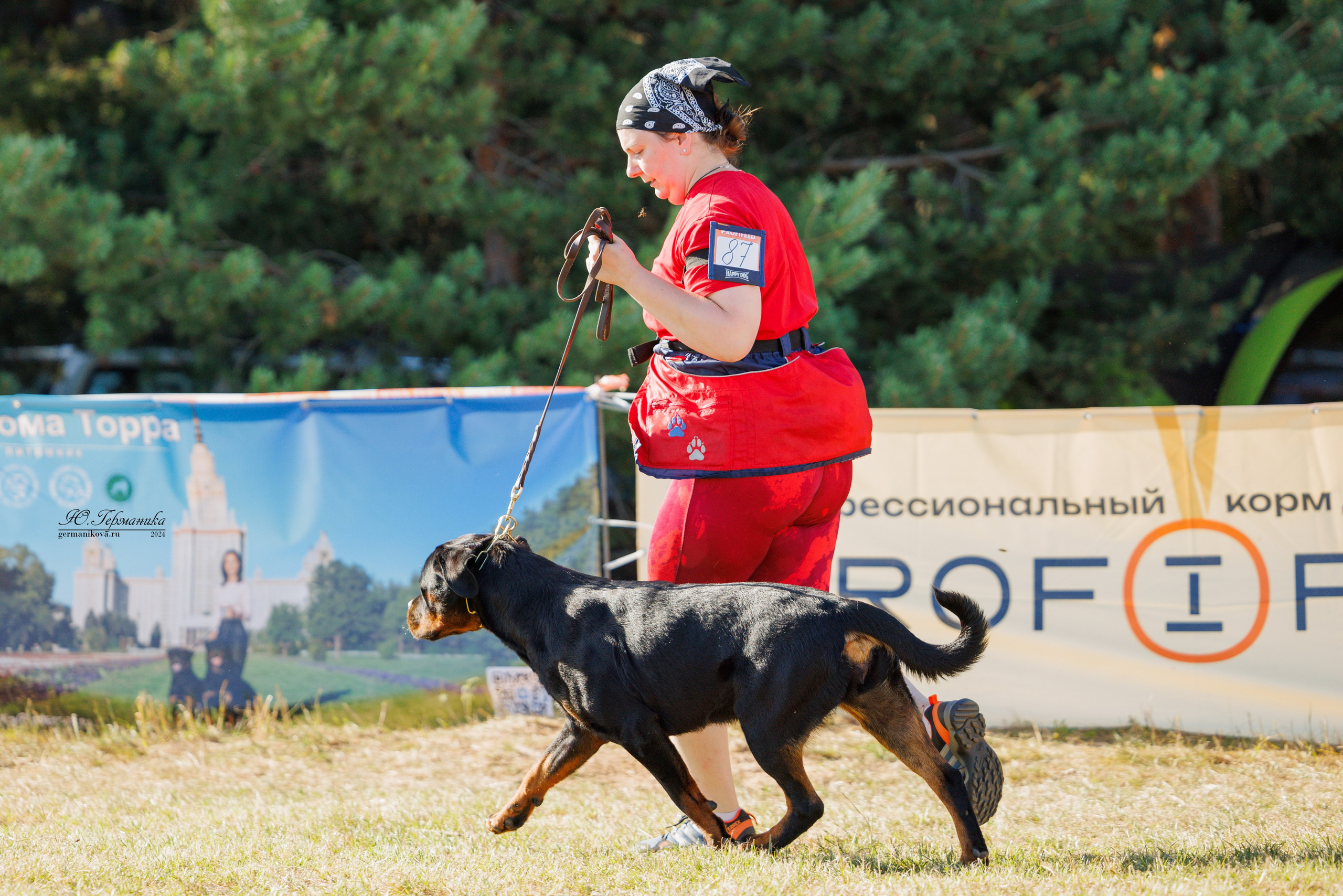ПК и КЧК ротвейлеры Тверь 6-7.07.2024. Фотограф-анималист Юлия Германика