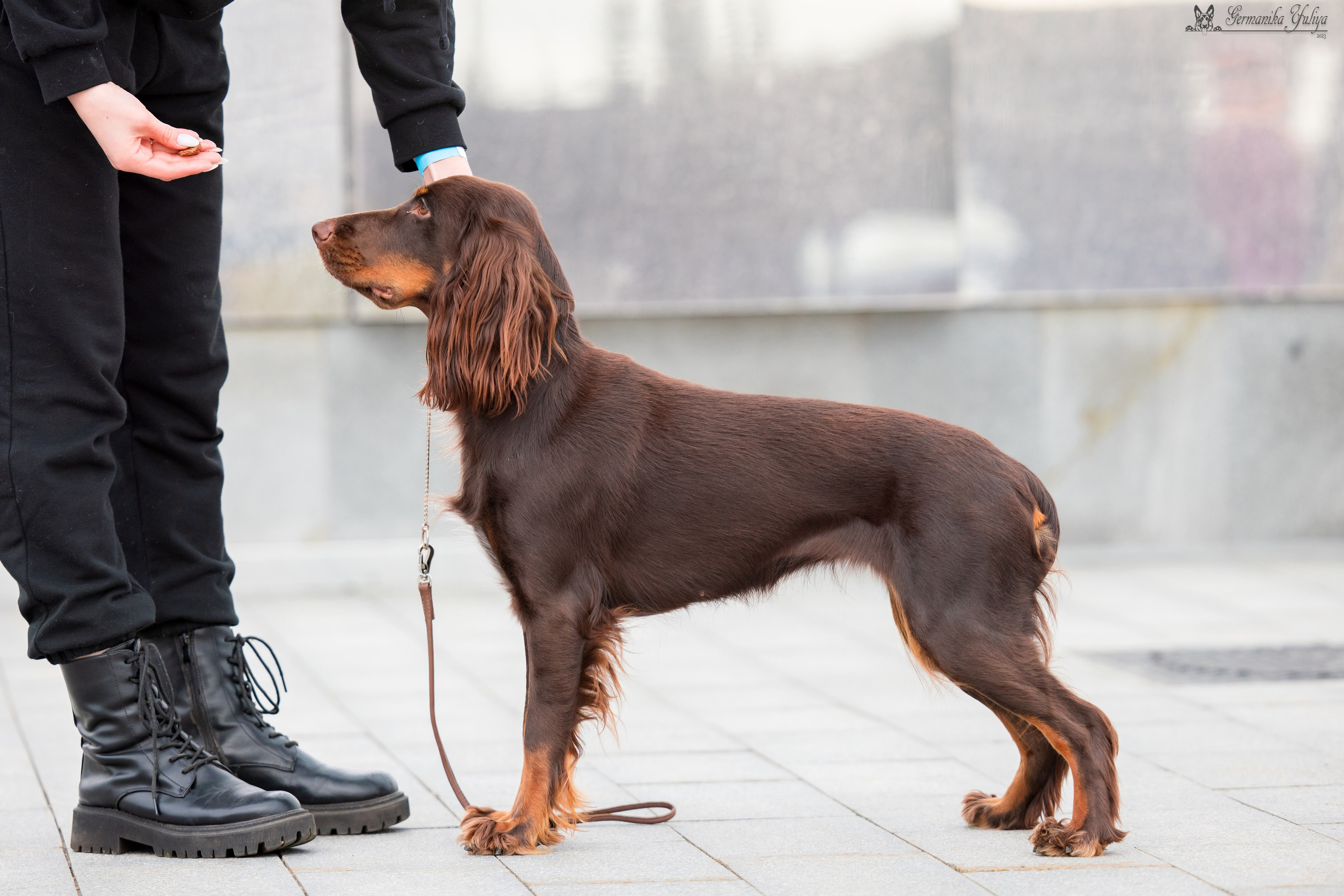 Нижний Новгород 21-22.10.2023. Фотограф-анималист Юлия Германика