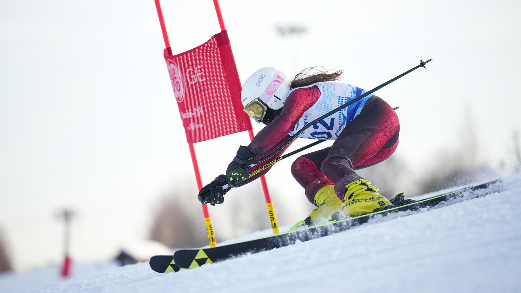 GS (Giant Slalom) - Слалом-гигант. Соревнования по горнолыжному спорту. Московская область, Шуколово