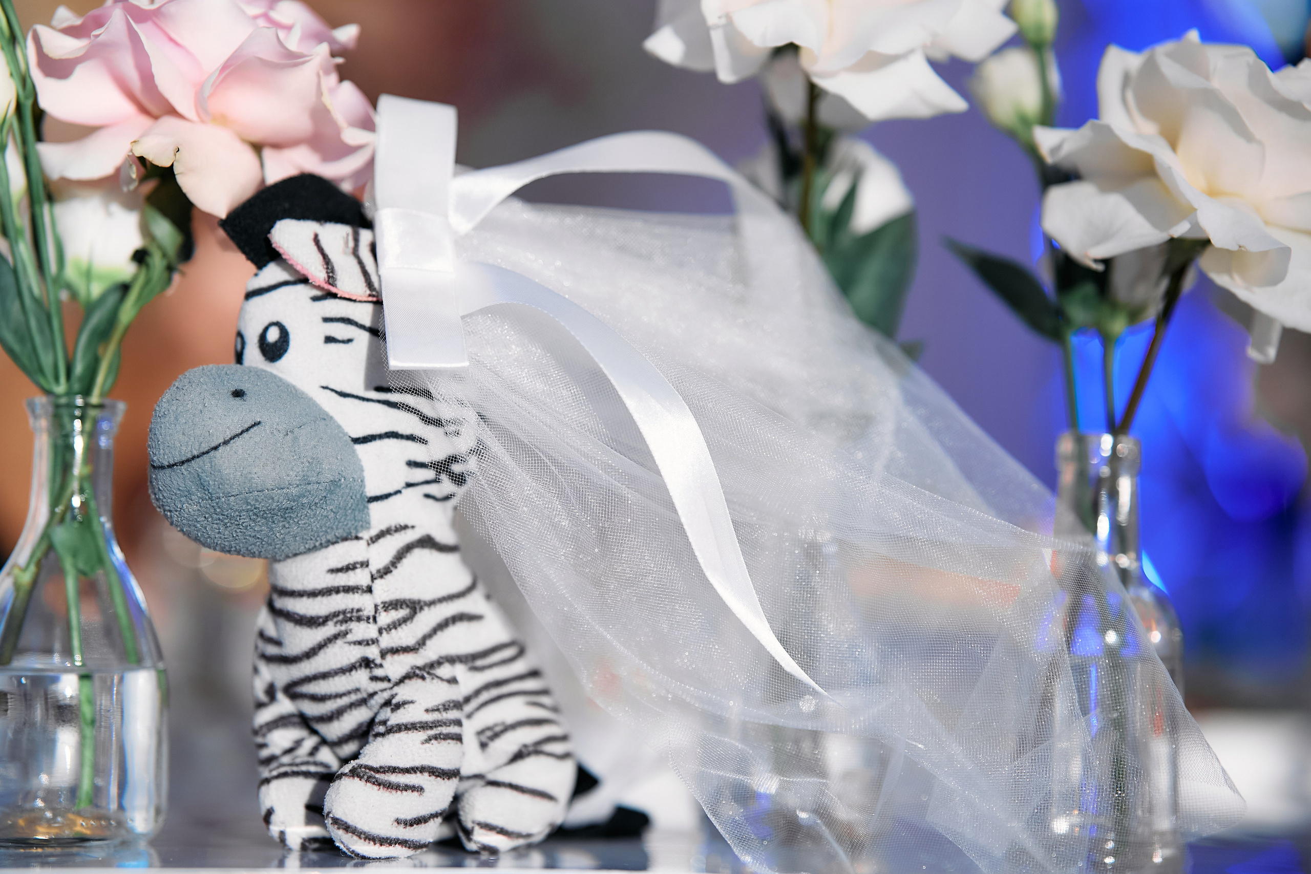 Алина и Илья. Свадебный фотограф Минск РБ