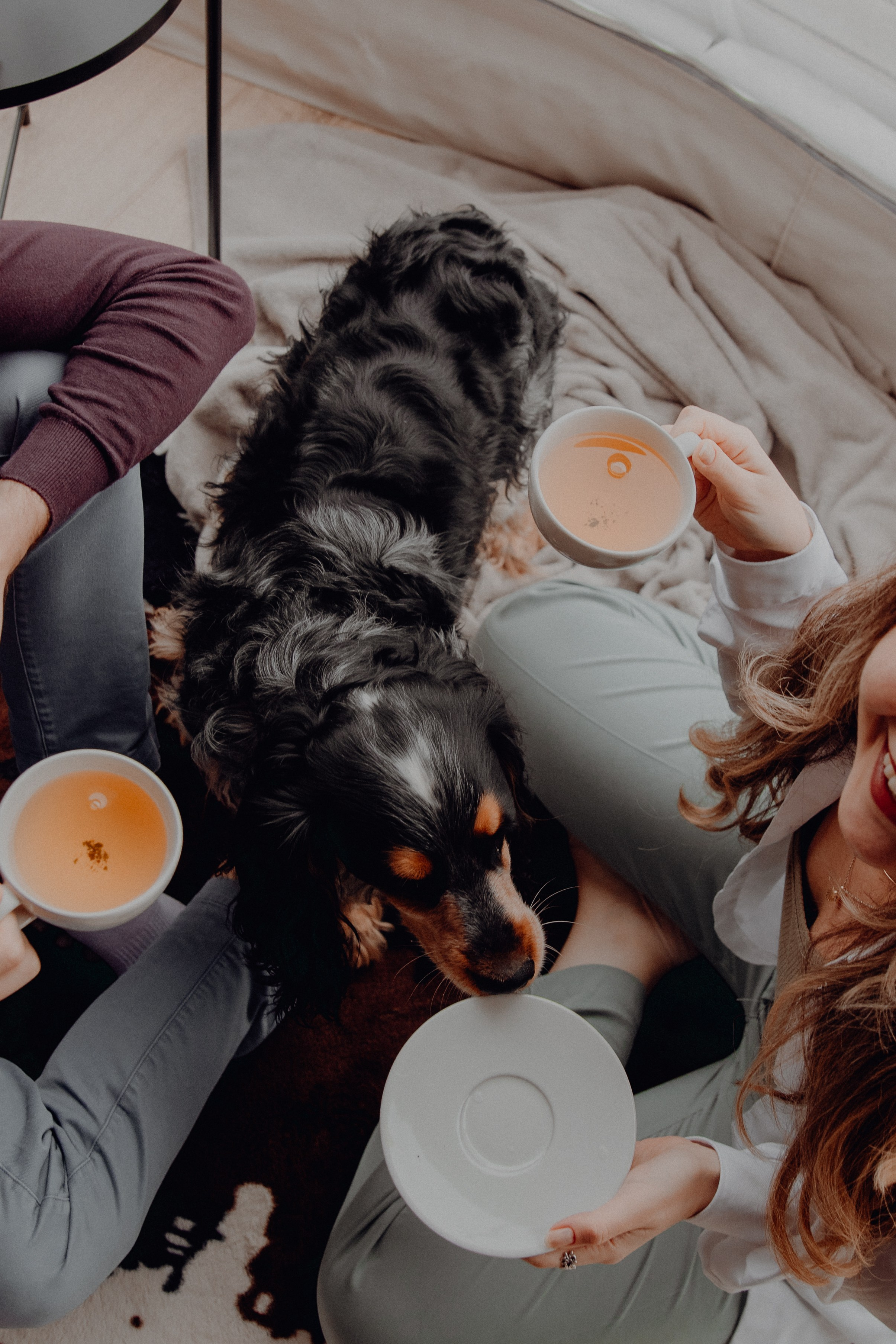 Ася ღ Заур. Портфолио