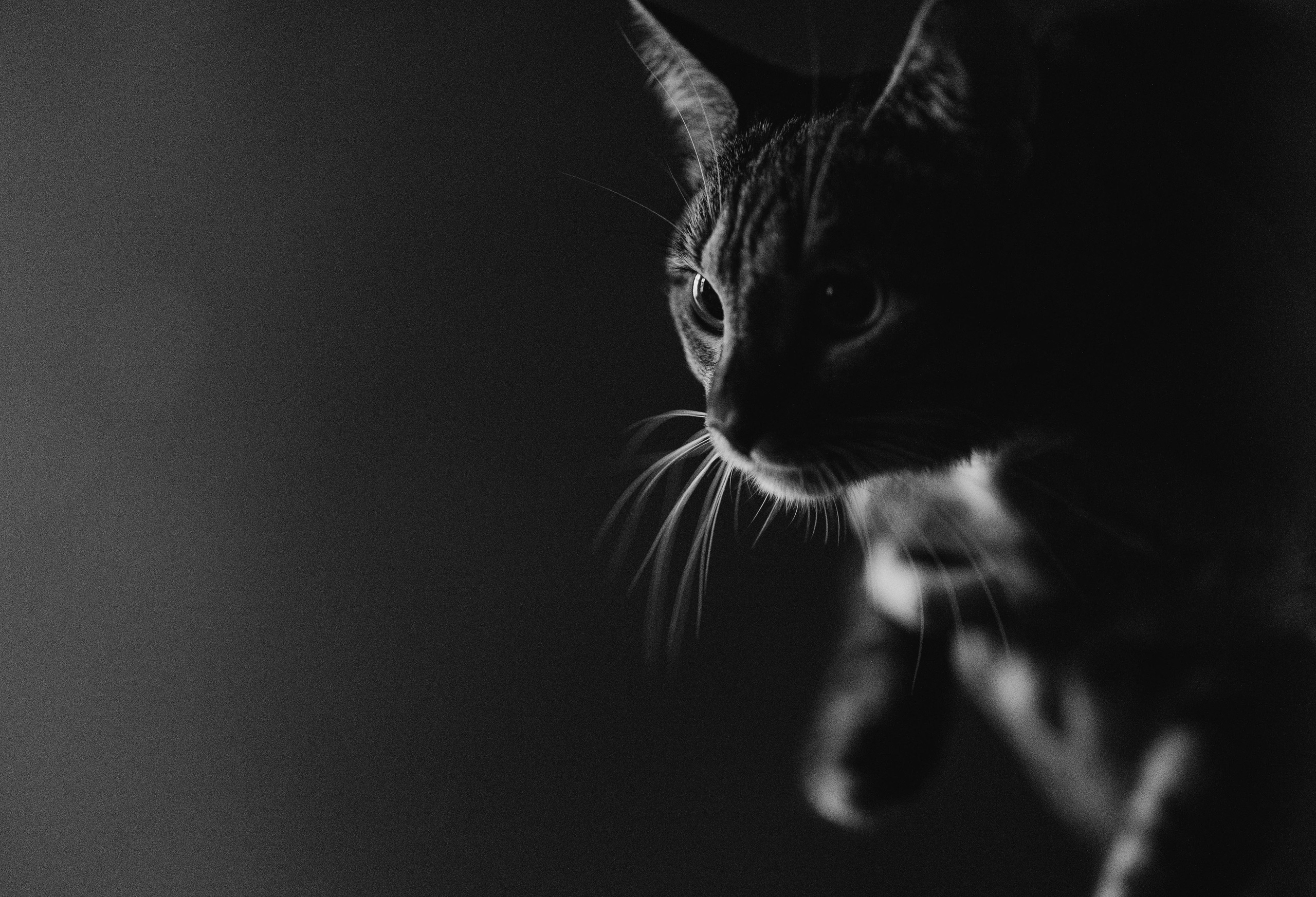 Павел и Настя. Татьяна Афонина | Фотограф