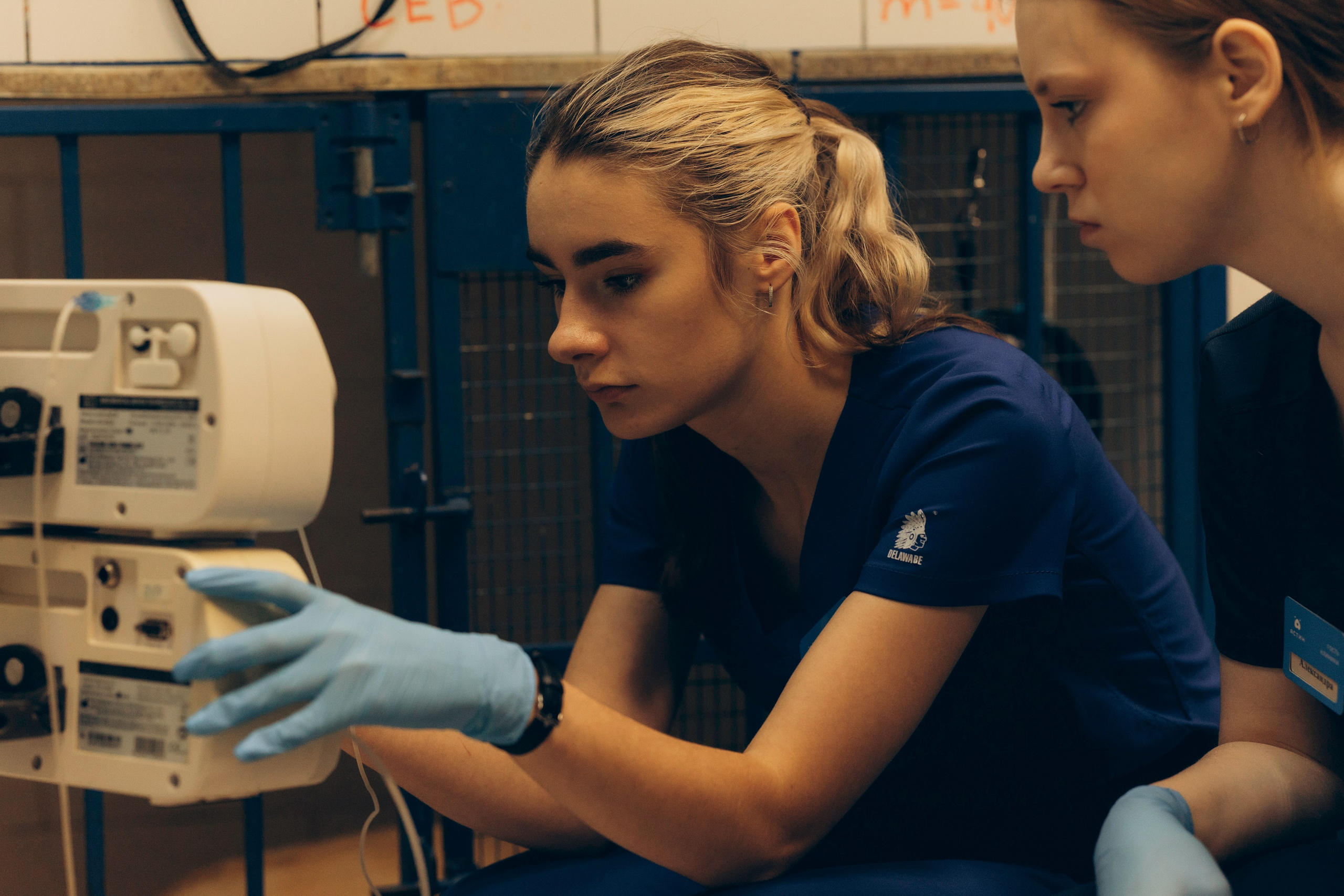 VetLife. Татьяна Афонина | Фотограф