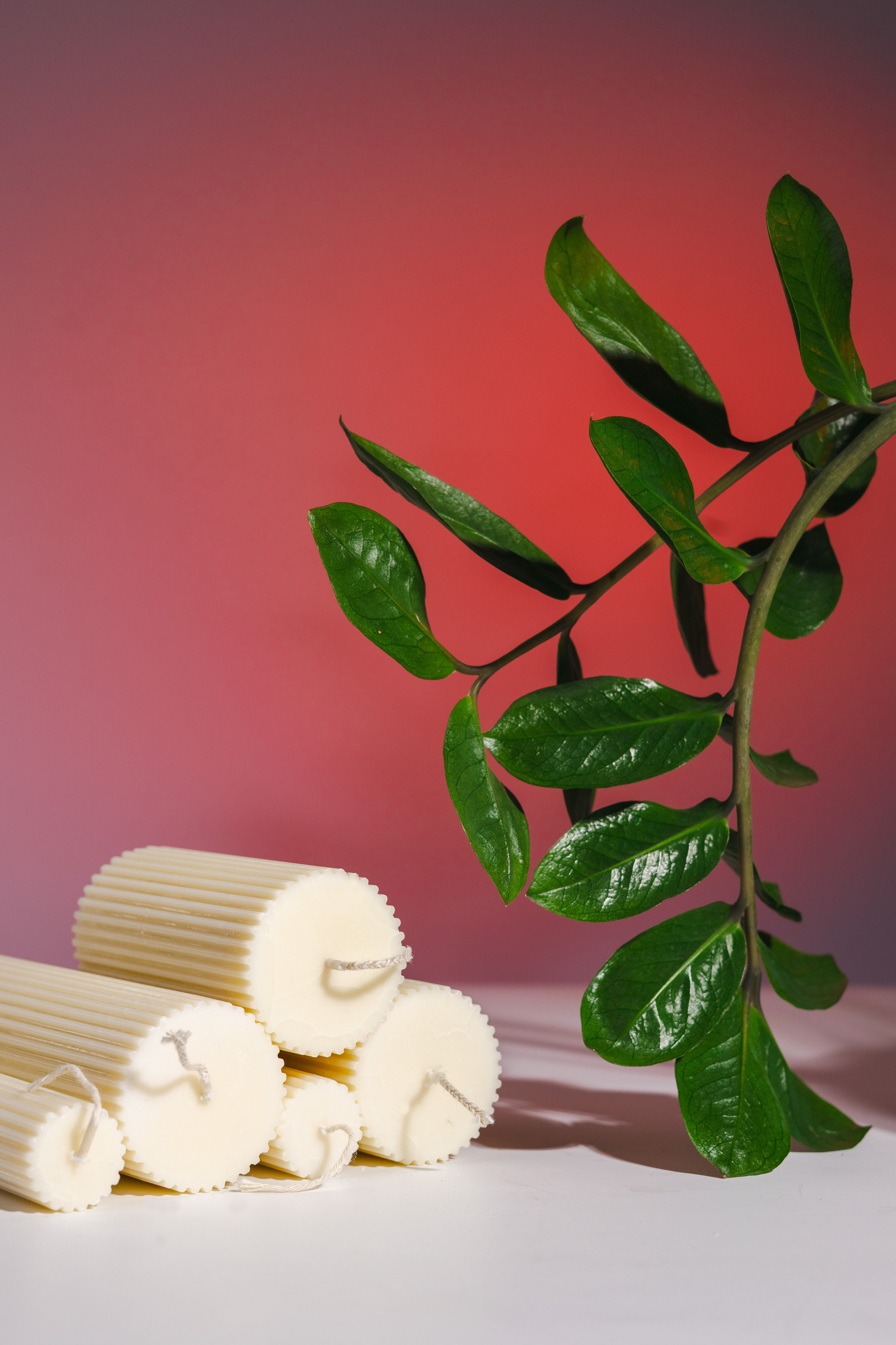 Предметная съёмка в Алматы — фотограф для товаров и каталога. Фотограф Алматы