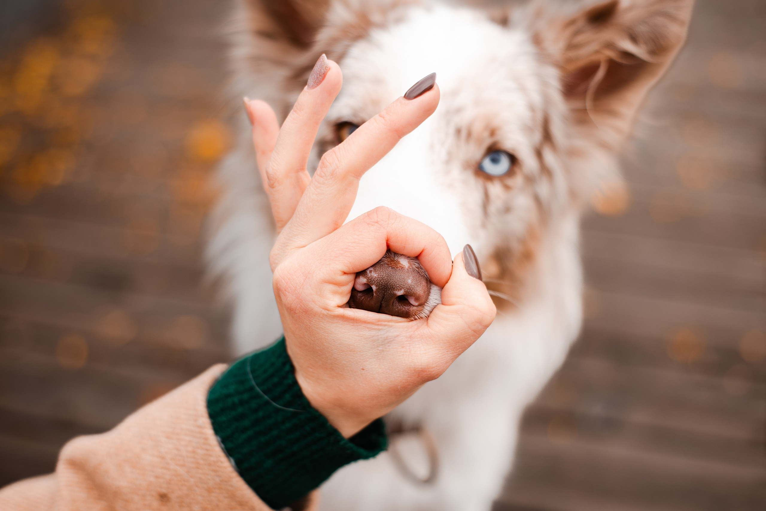 Мария и Утопия. Фотограф-анималист Мария Баркевич | Москва
