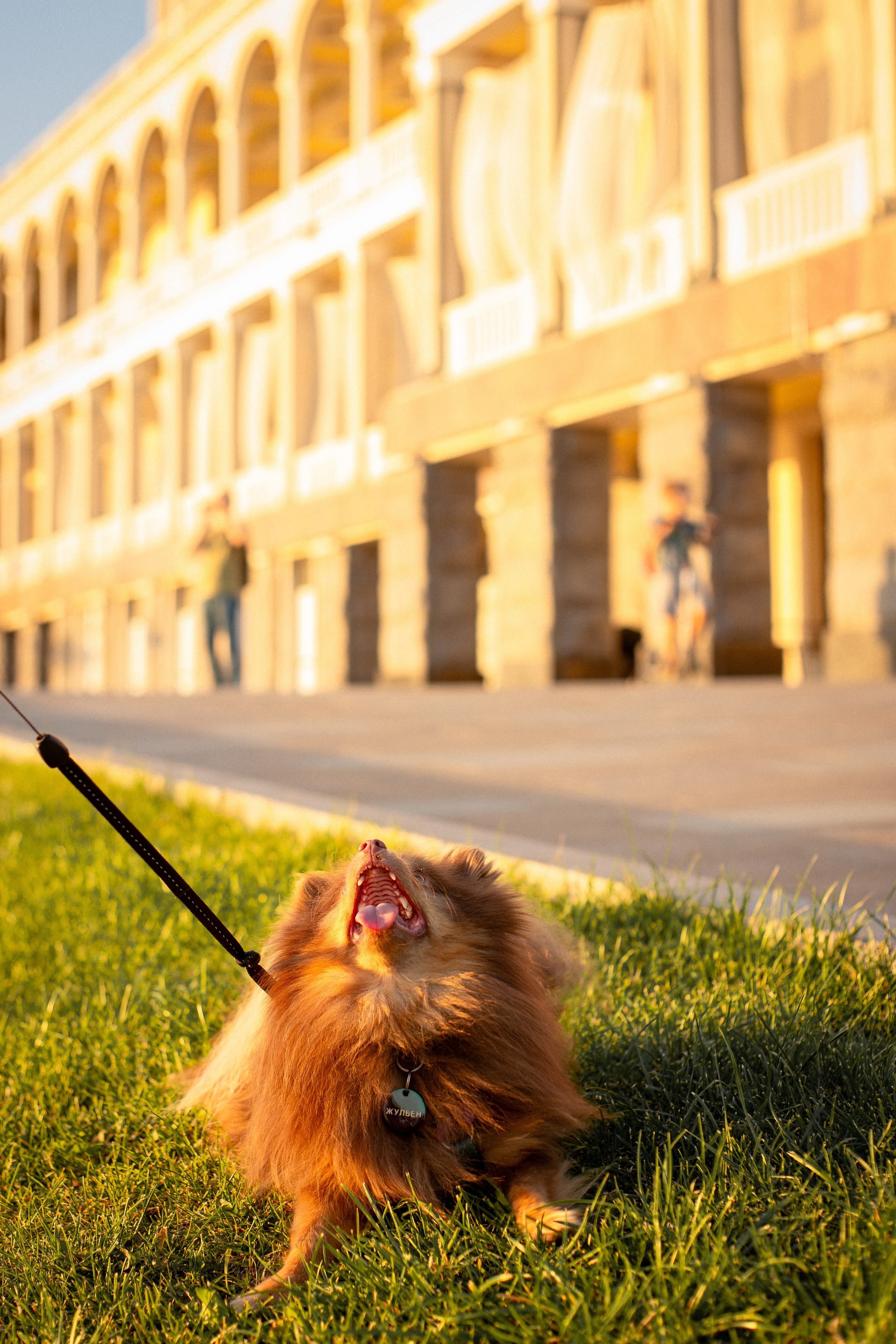 Настя и Жульен. Фотограф-анималист Мария Баркевич | Москва