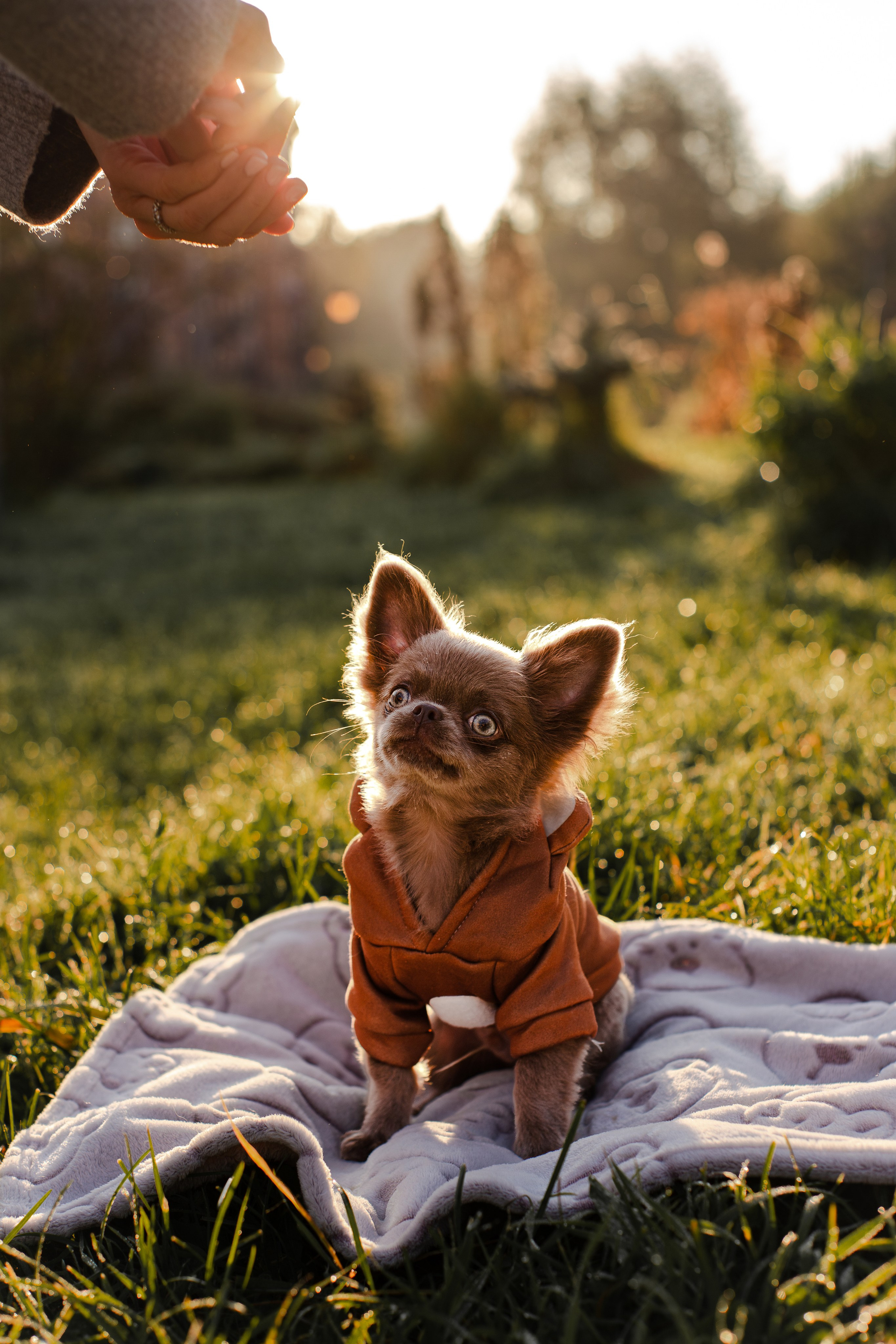 Варя и Фунтик. Фотограф-анималист Мария Баркевич | Москва