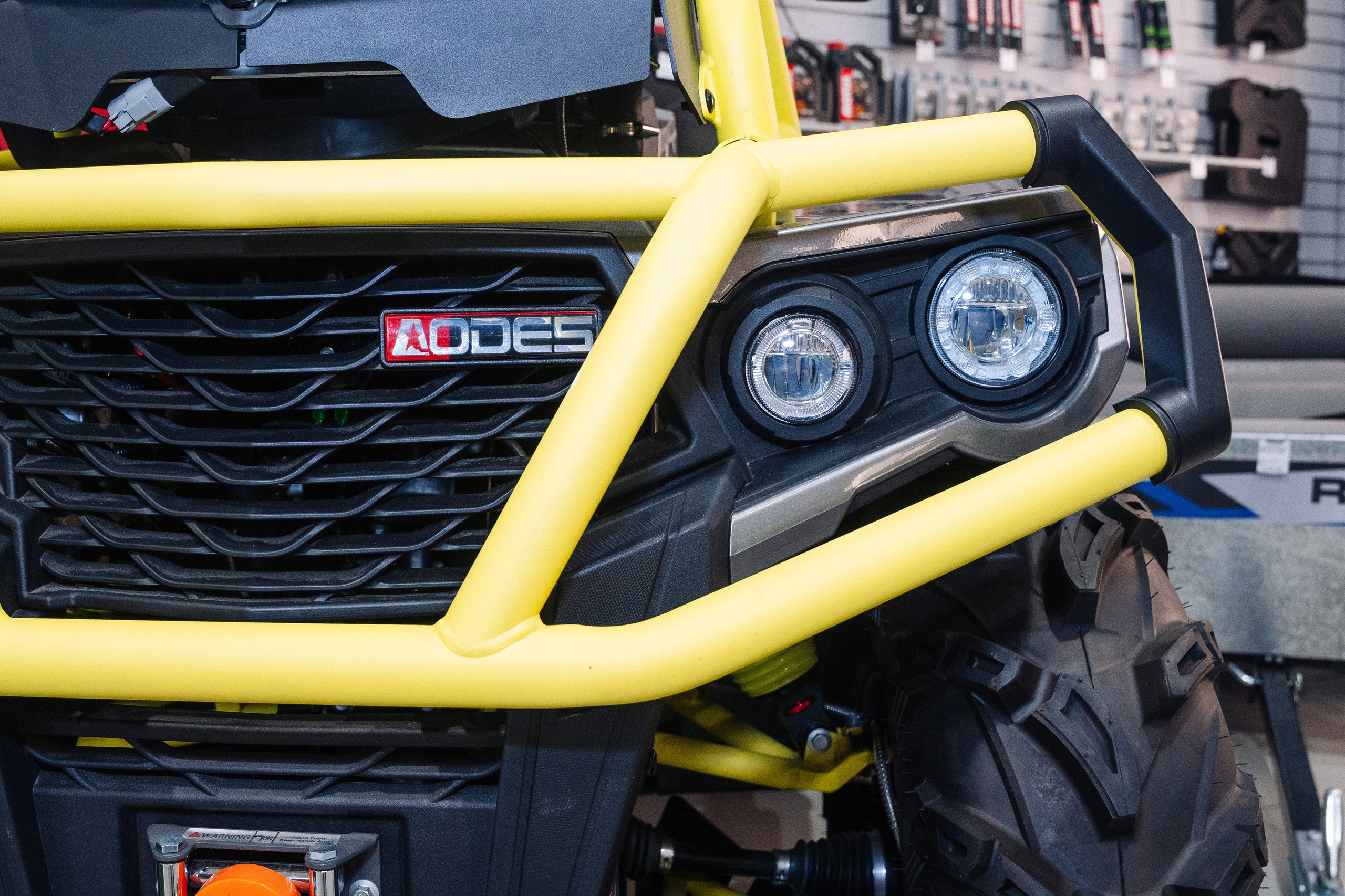 GLADIATOR. Фотограф Хабаровск