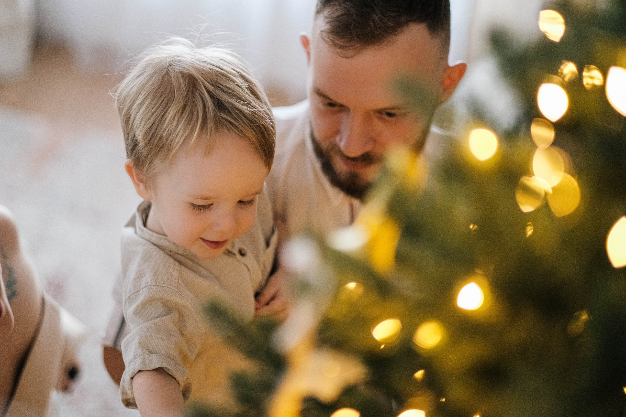 новогодняя фотосессия семейная - снимаю фото и видео на камеру, опыт 11 лет