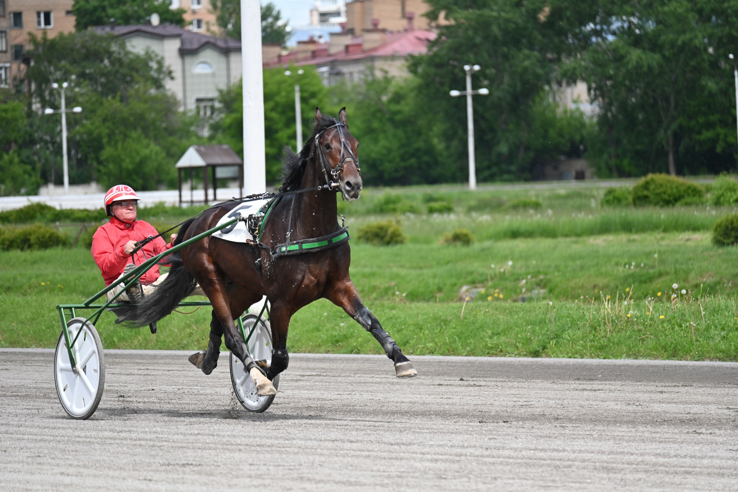Московский ипподром. Fotolux