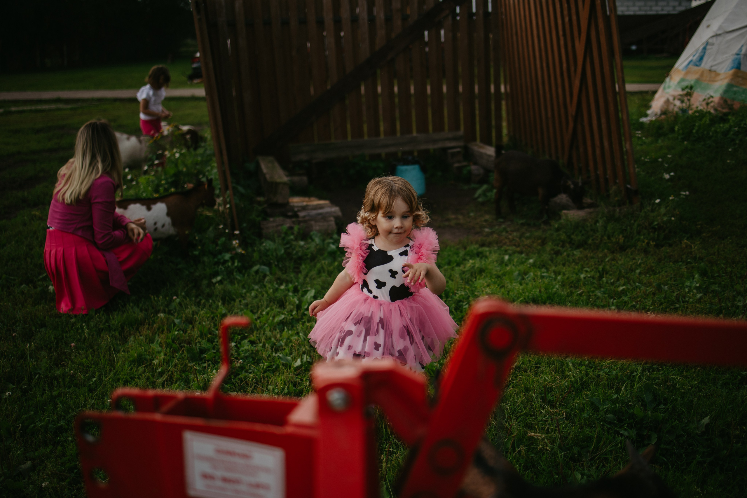 Лера 2 годика. Репортажный и портретный фотограф в Санктпетербурге. Видиосъемка мероприятий в Санкт-Петербурге