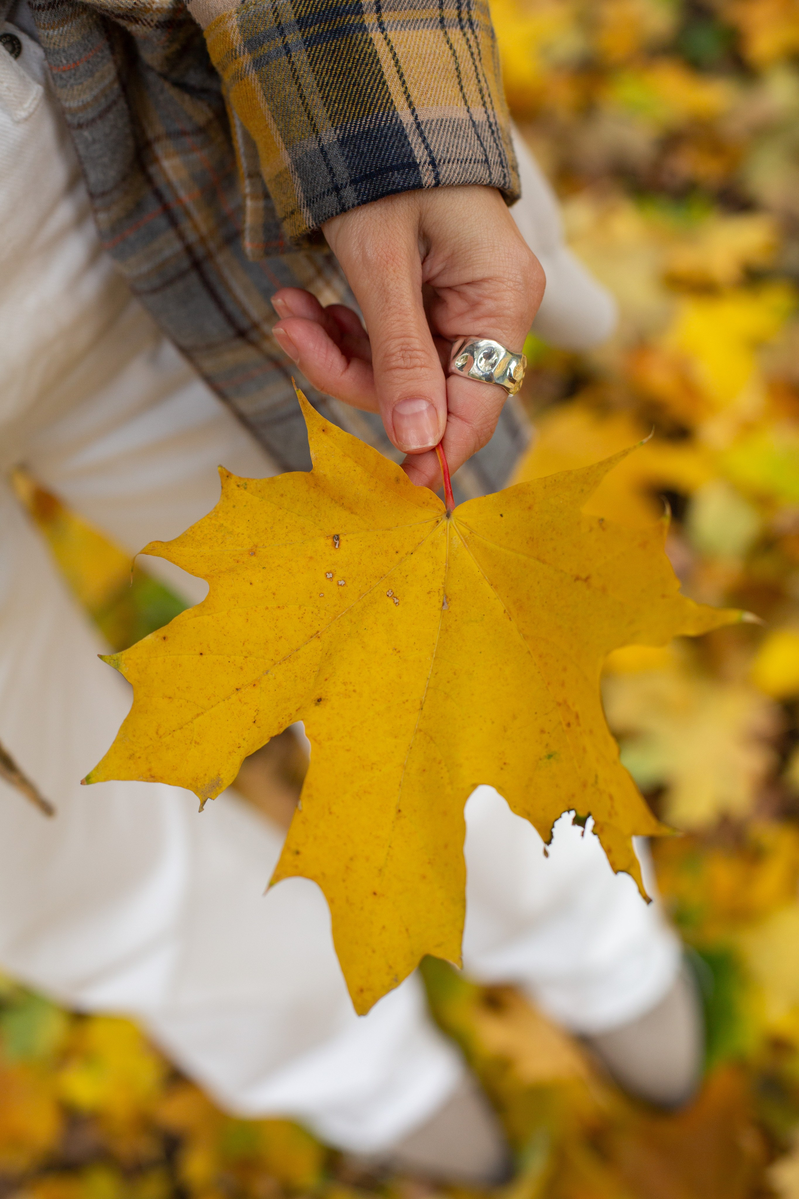 Мероприятия