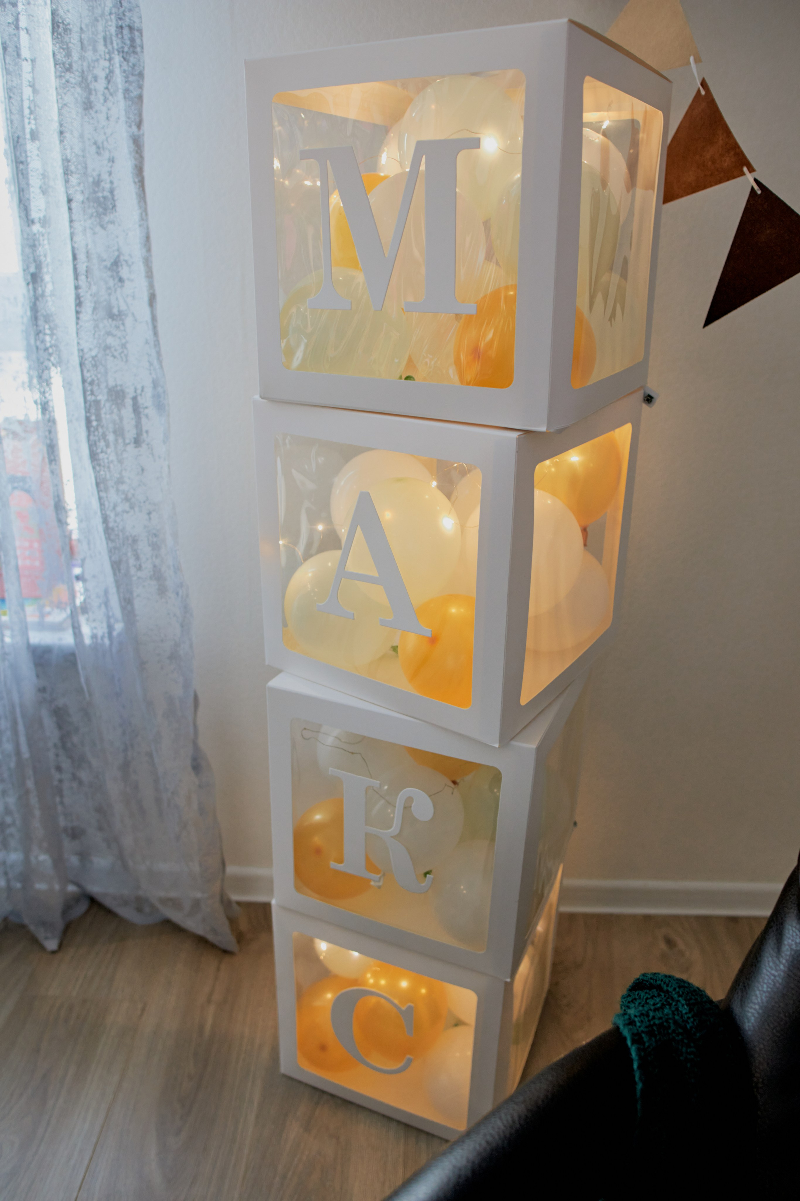 Три кота. Фотограф Москва