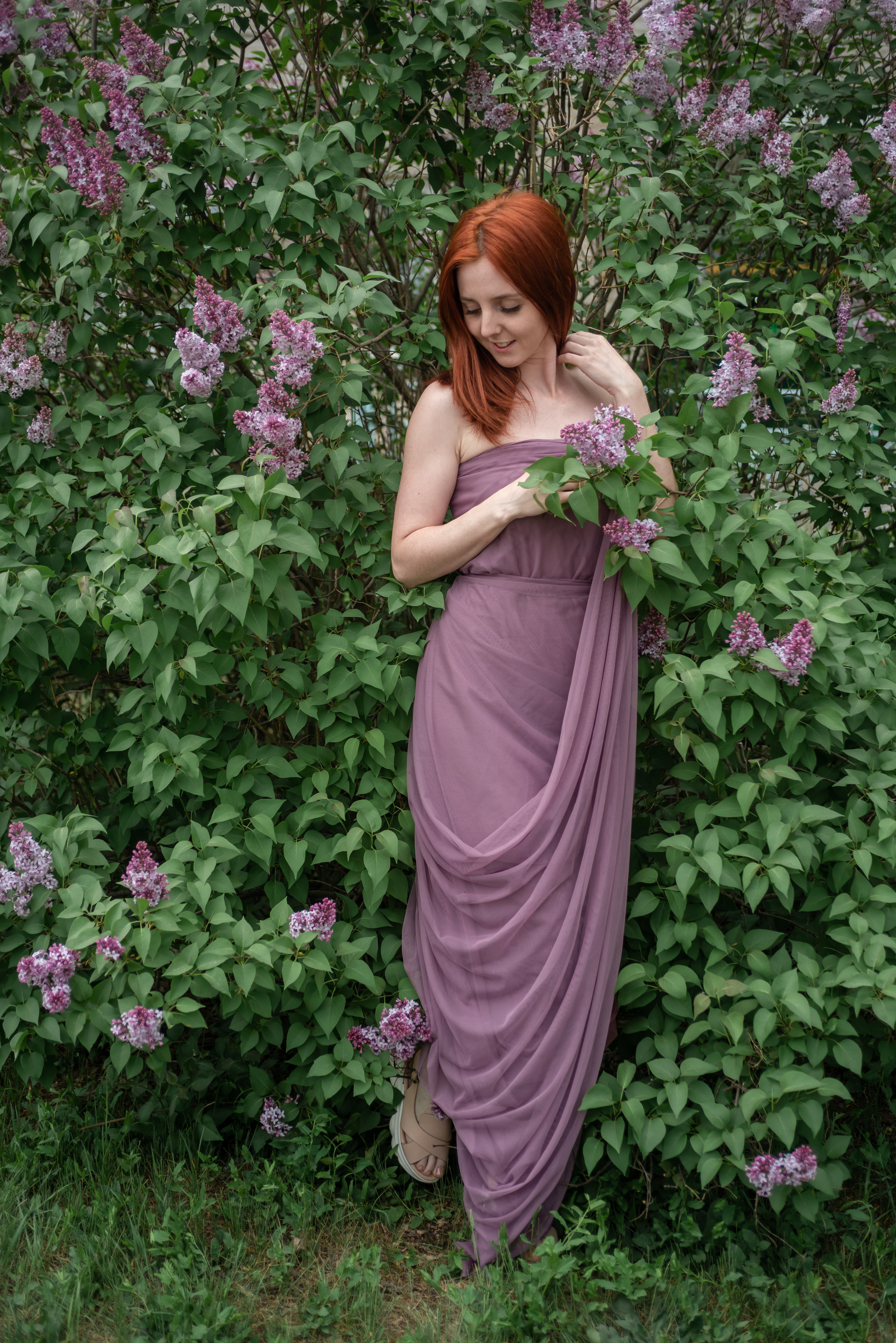 Цветение. Фотограф в Сузуне — Зоя Попова (Собственная фотостудия)