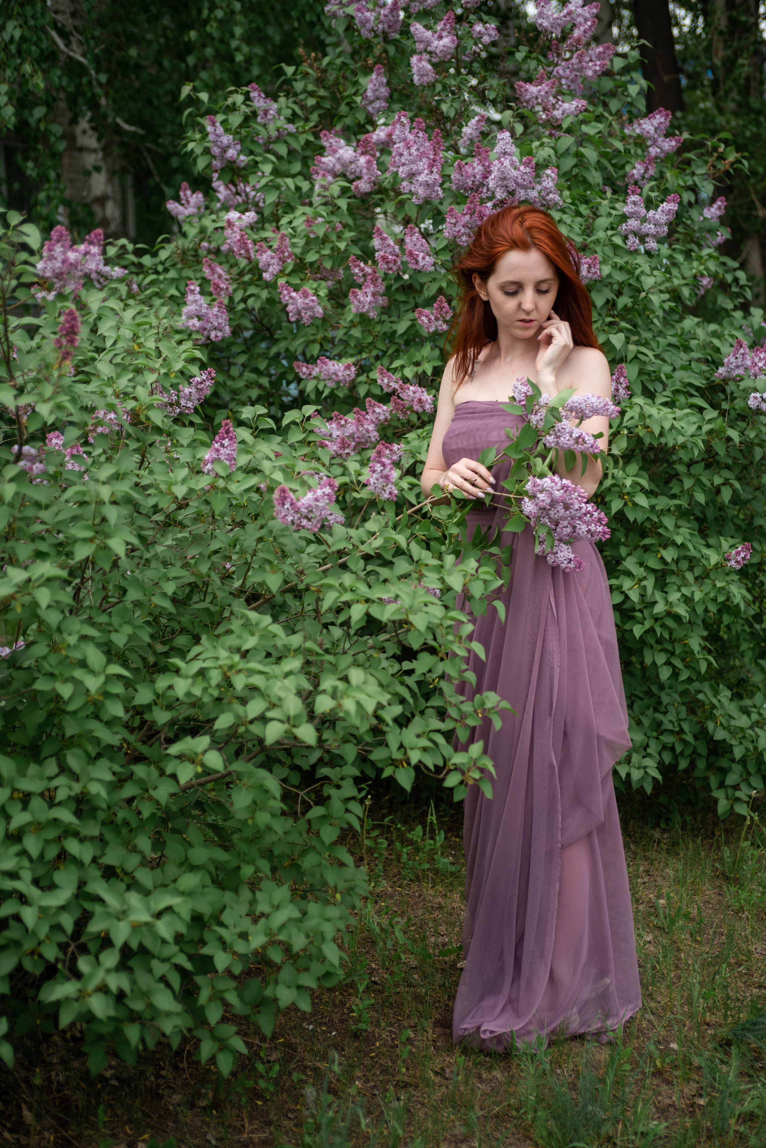 Цветение. Фотограф в Сузуне — Зоя Попова (Собственная фотостудия)