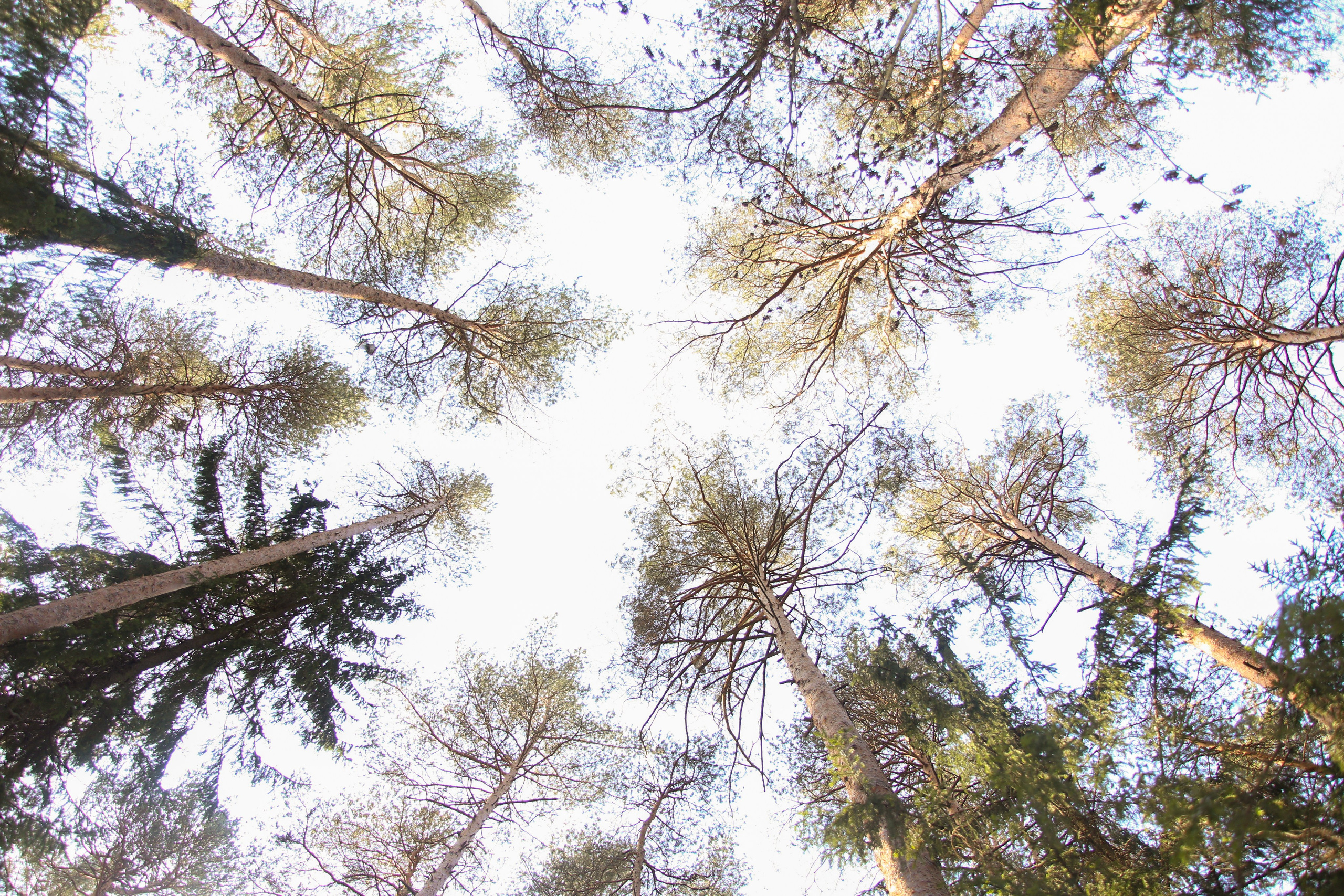 Виды Перми и окрестностей. Фотограф Никита Попов. Фотограф Пермь. Фотосессия в фотостудии Перми и на свежем воздухе