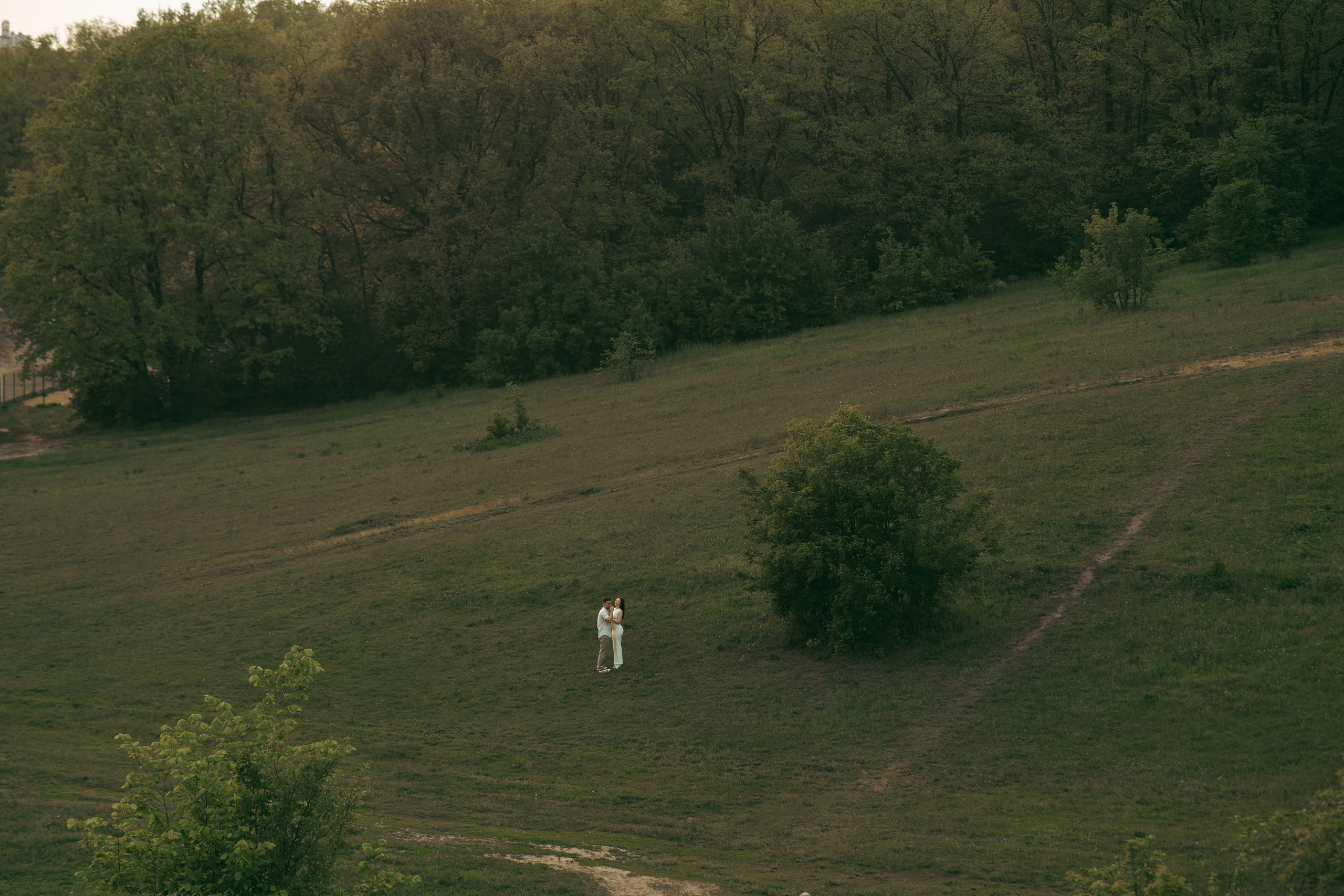 Парк Динамо. Фотограф Мария Зайчик