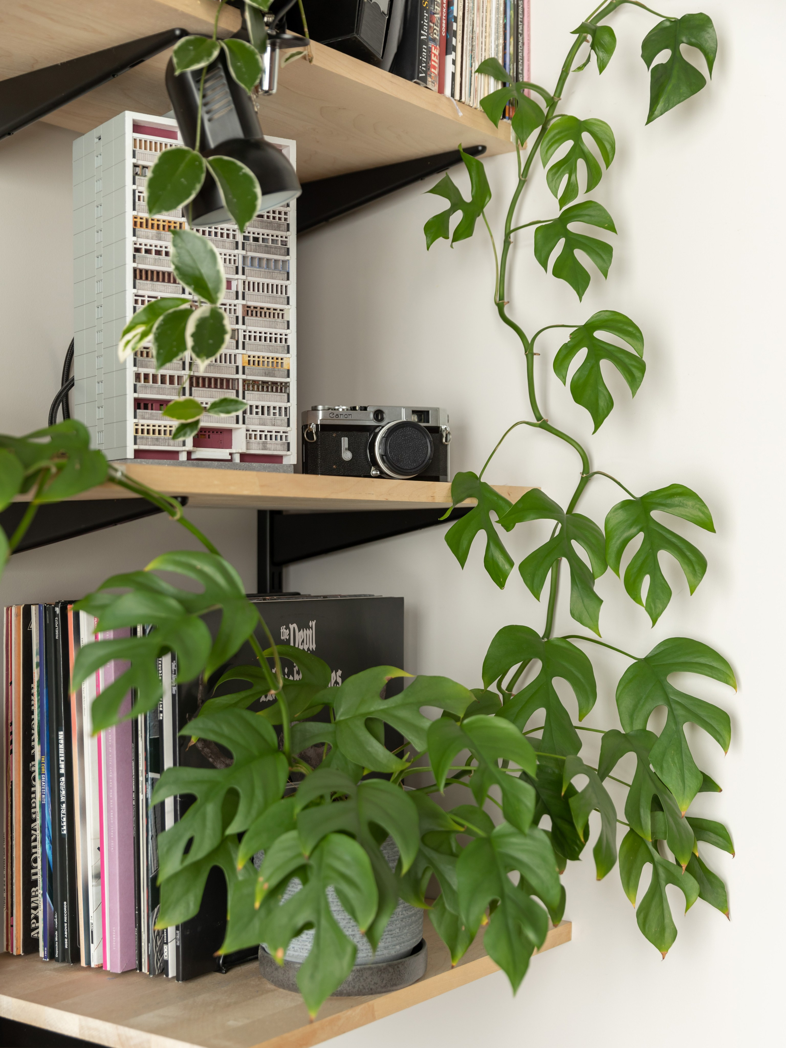 Квартира в Петербурге. Наталья Мавренкова интерьерный фотограф, декоратор в Санкт-Петербурге