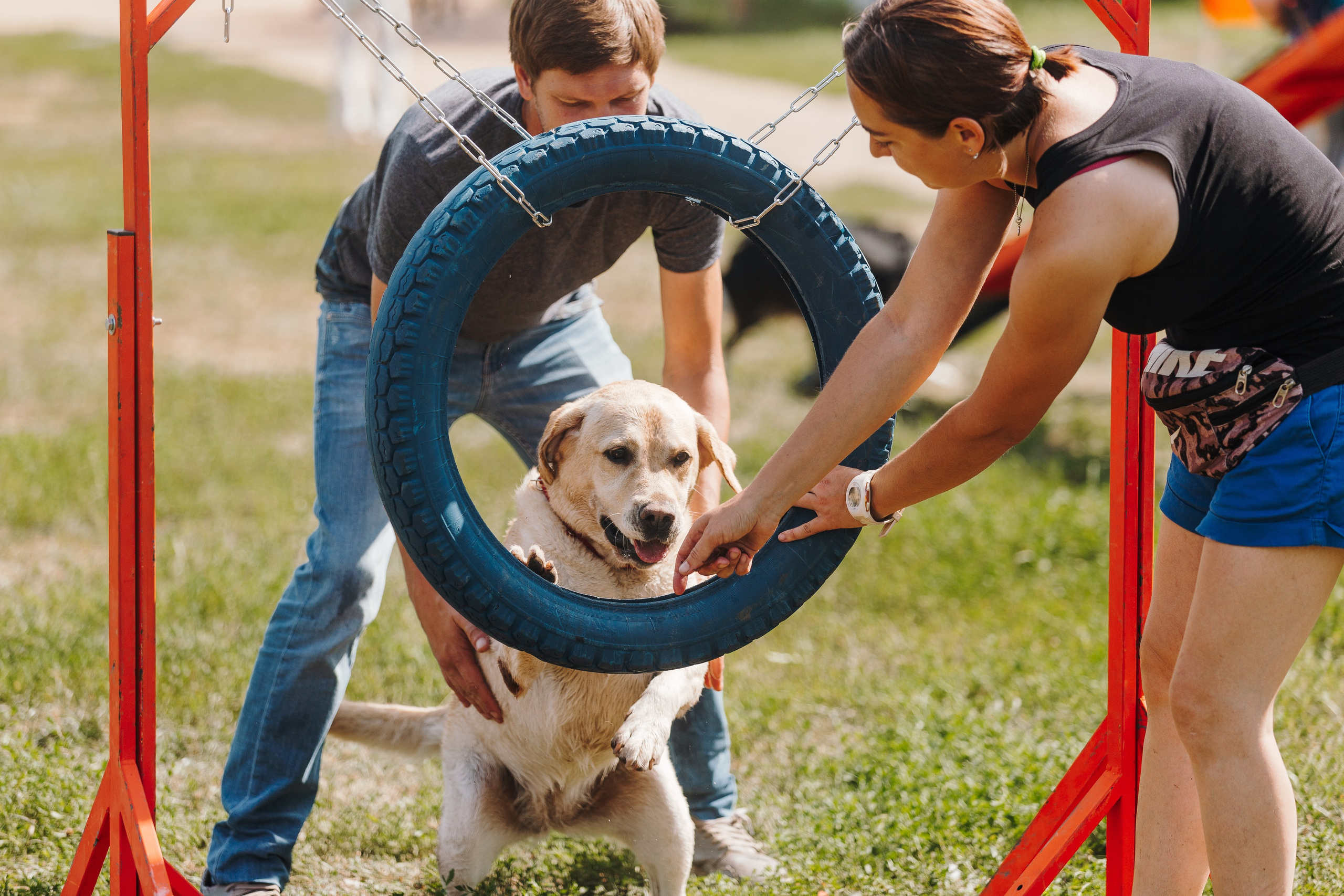 Petshop Sup day. Фотограф анималист Кристина Карпова, Москва