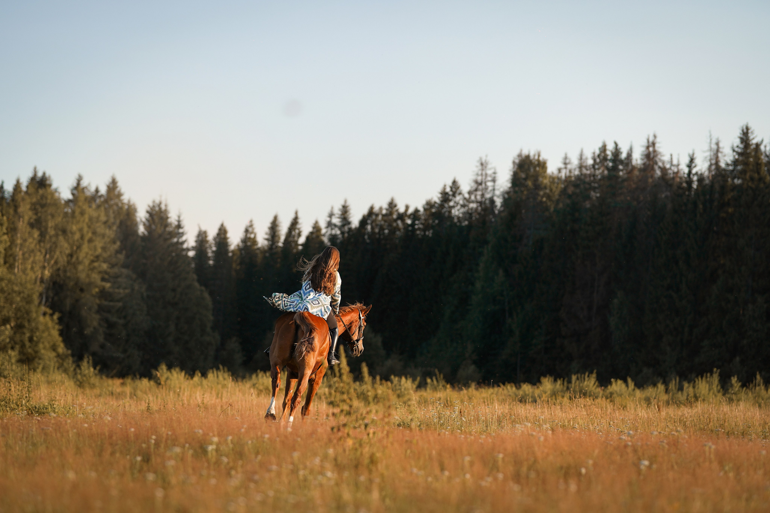 Лера Джон и Диамант. Фотограф-анималист в Санкт-Петербурге Яна Мартынова