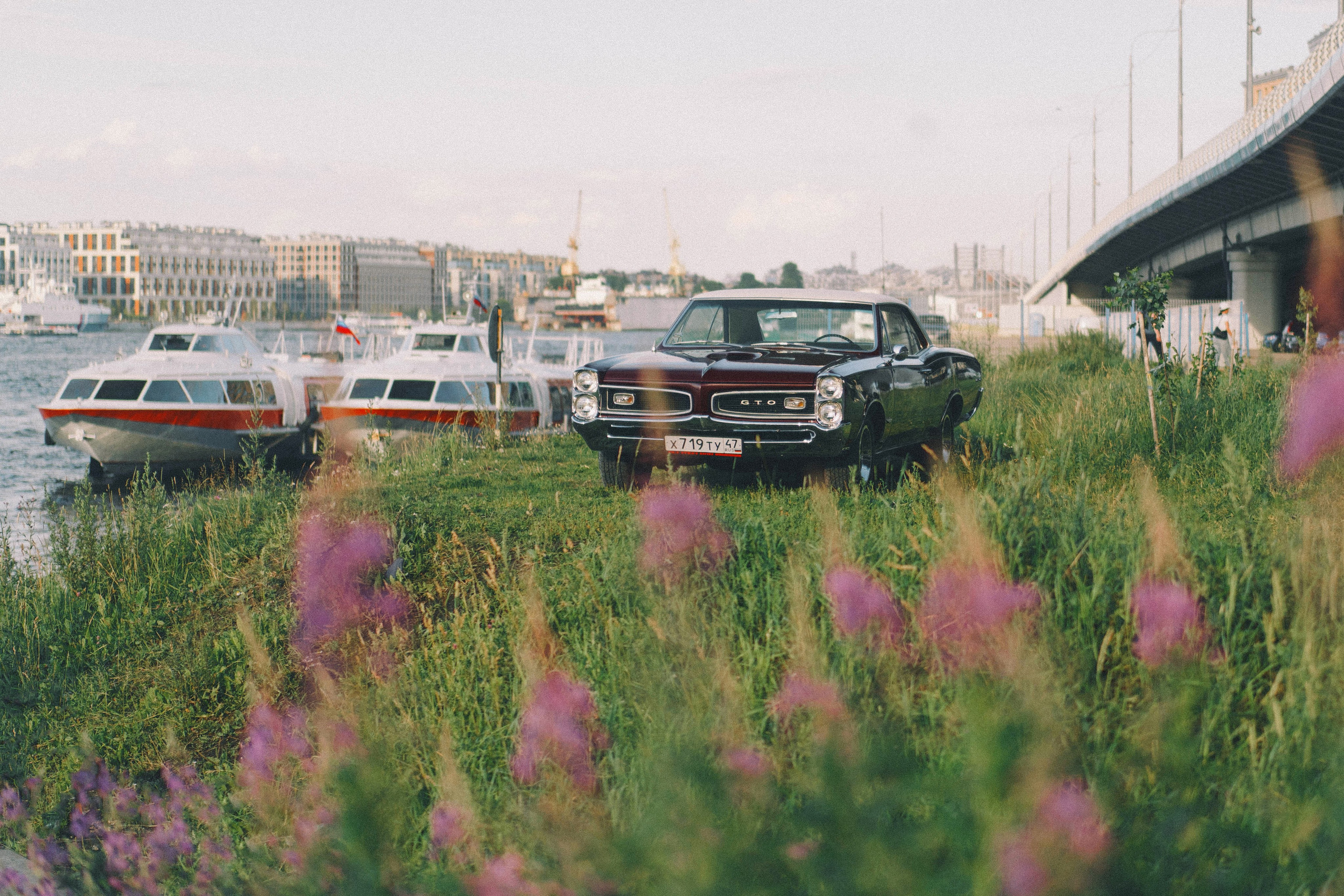 Pontiac GTO. Автомобильный фотограф Антон Цырулев