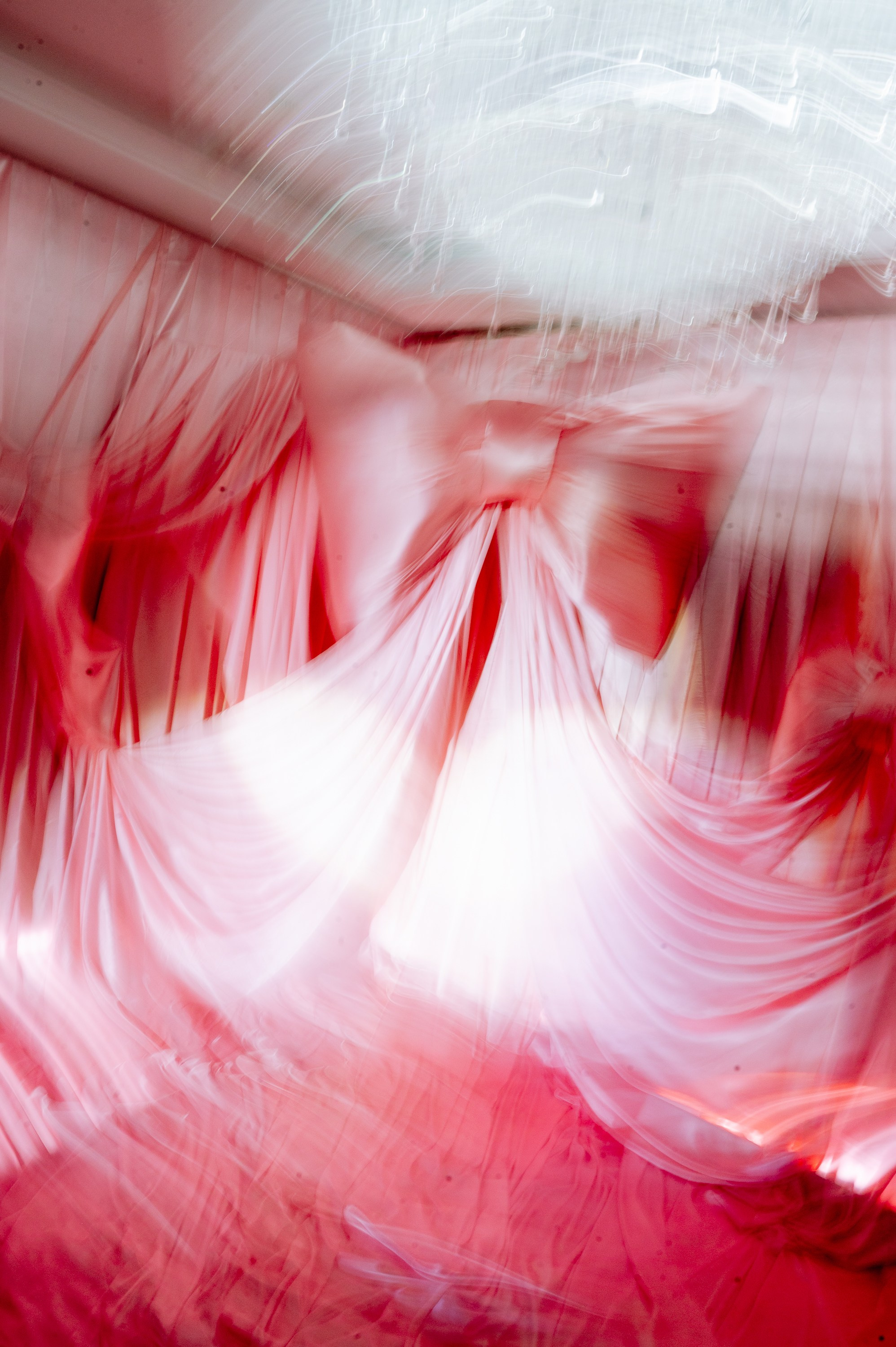 Katrinka family | День рождения. Фотограф Вито Бурмасов | Москва