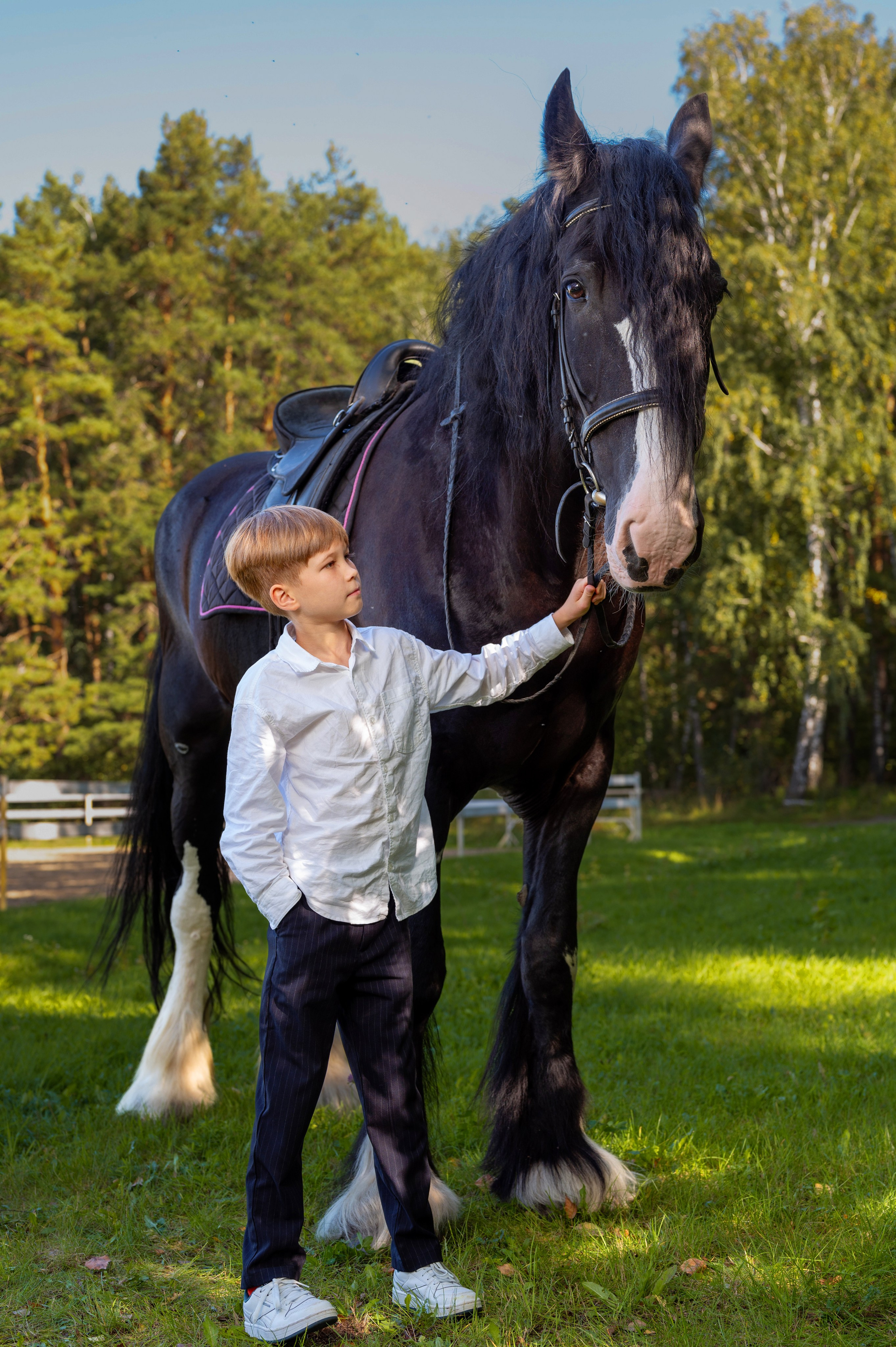Конный клуб Аллегро, Екатерина. Фотограф новорожденных, семейный детский в Тюмени Татьяна Морозова