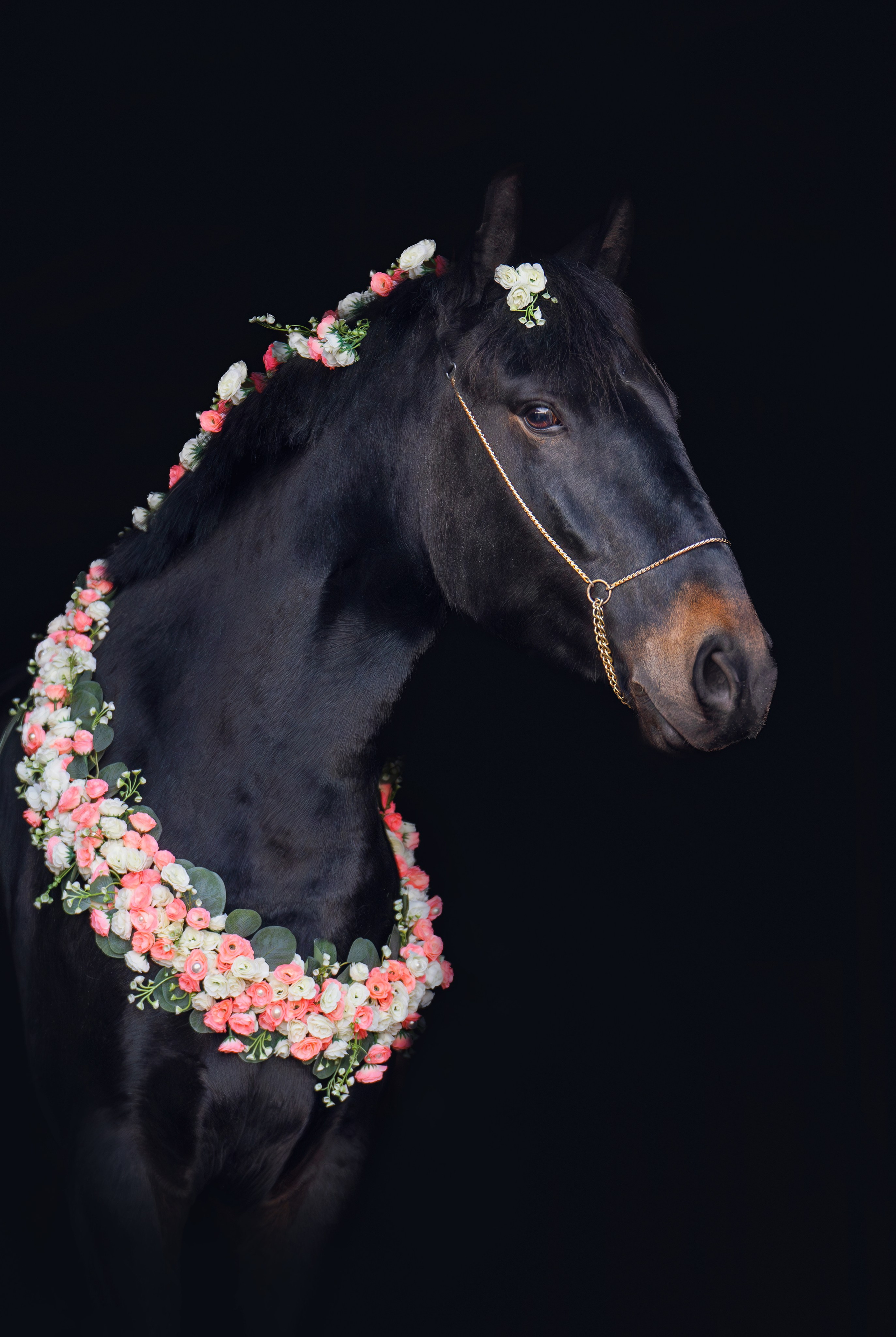 Весенний фото день. Фотограф Дарья Соколовская