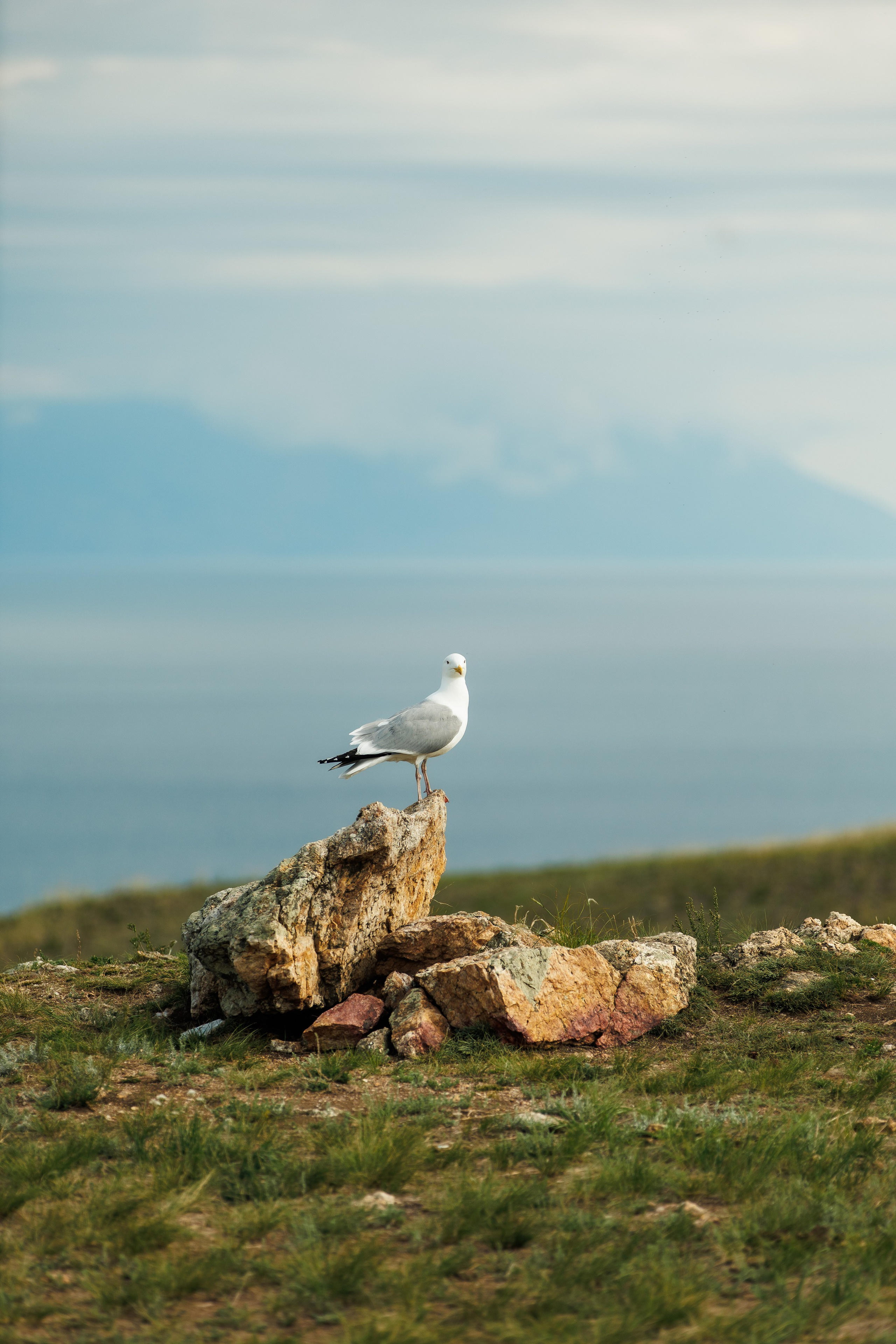 Летний Байкал