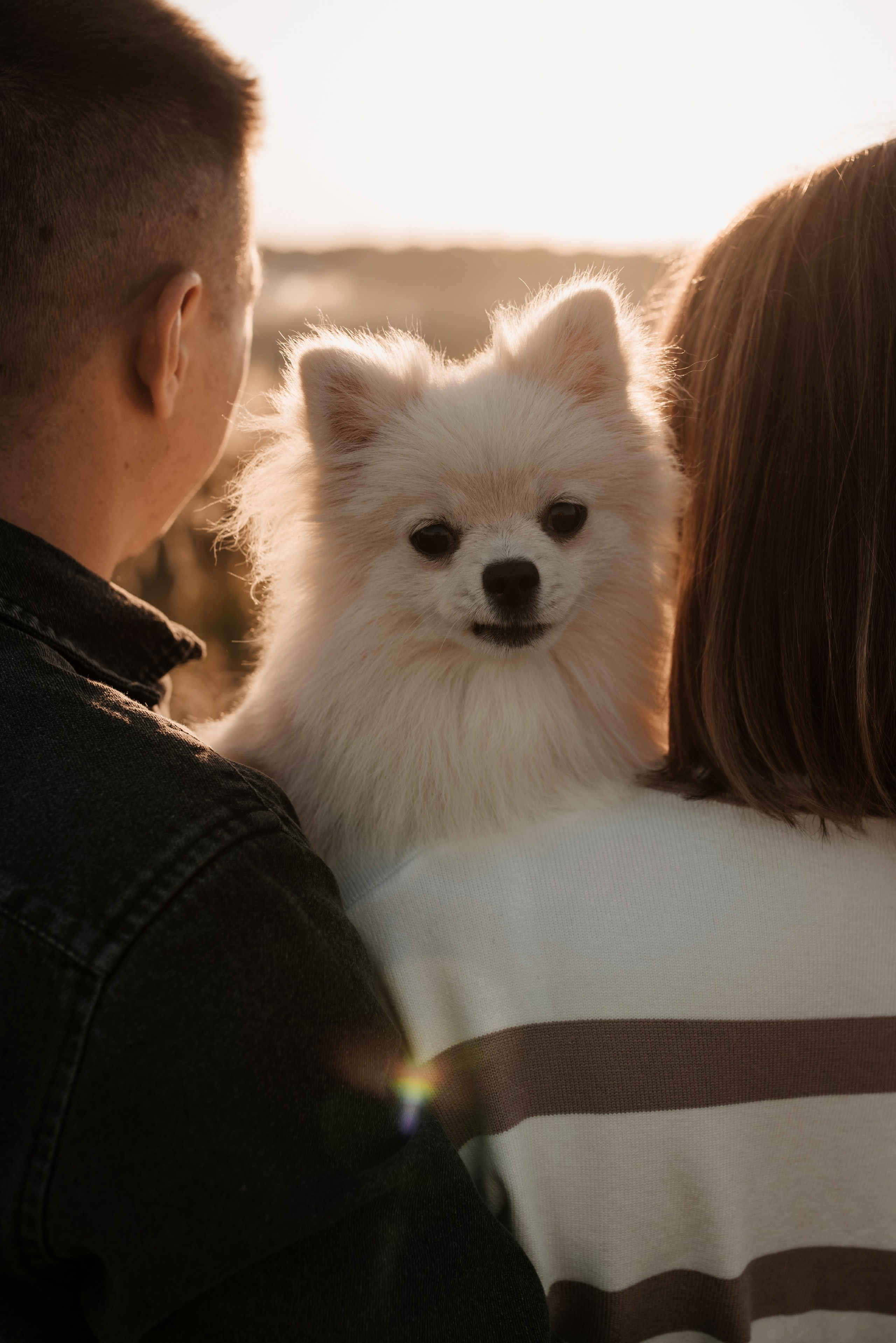 Наташа ♡ Женя. Фотограф Ольга Плеханова | Нижний Новгород, Москва