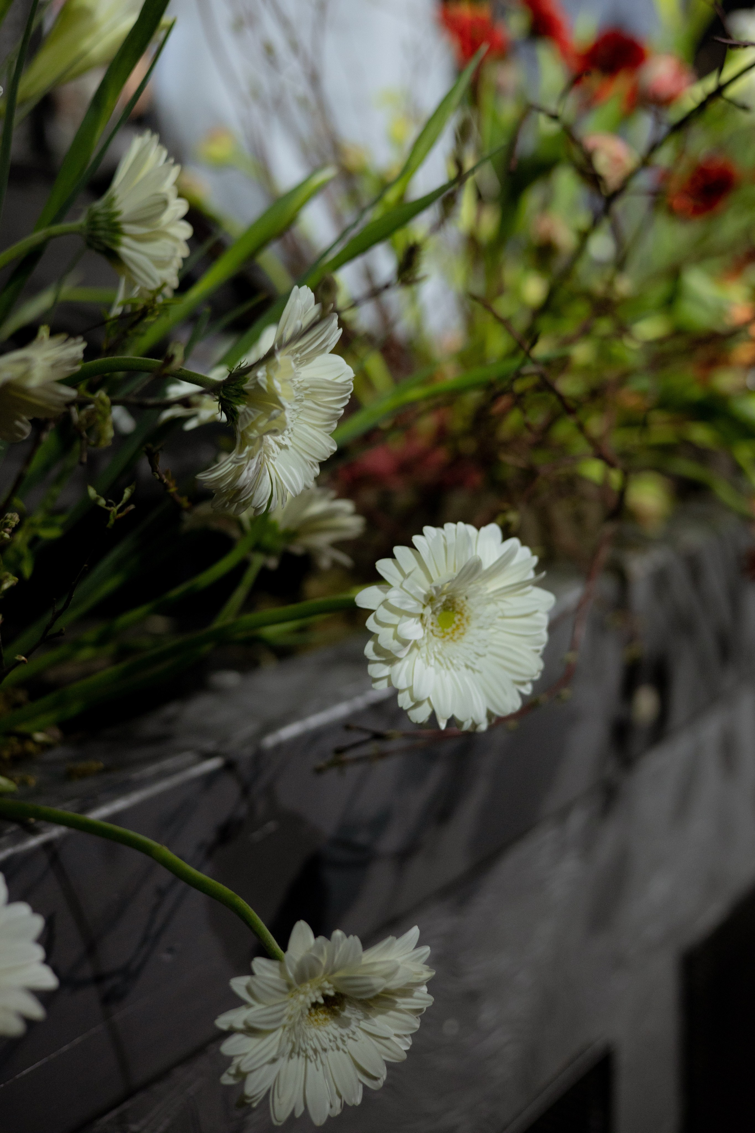 Оформление Отчетного концерта Музыкальной школы Глазунова. Оформление свадеб, декор свадеб Вера Маркова, Москва