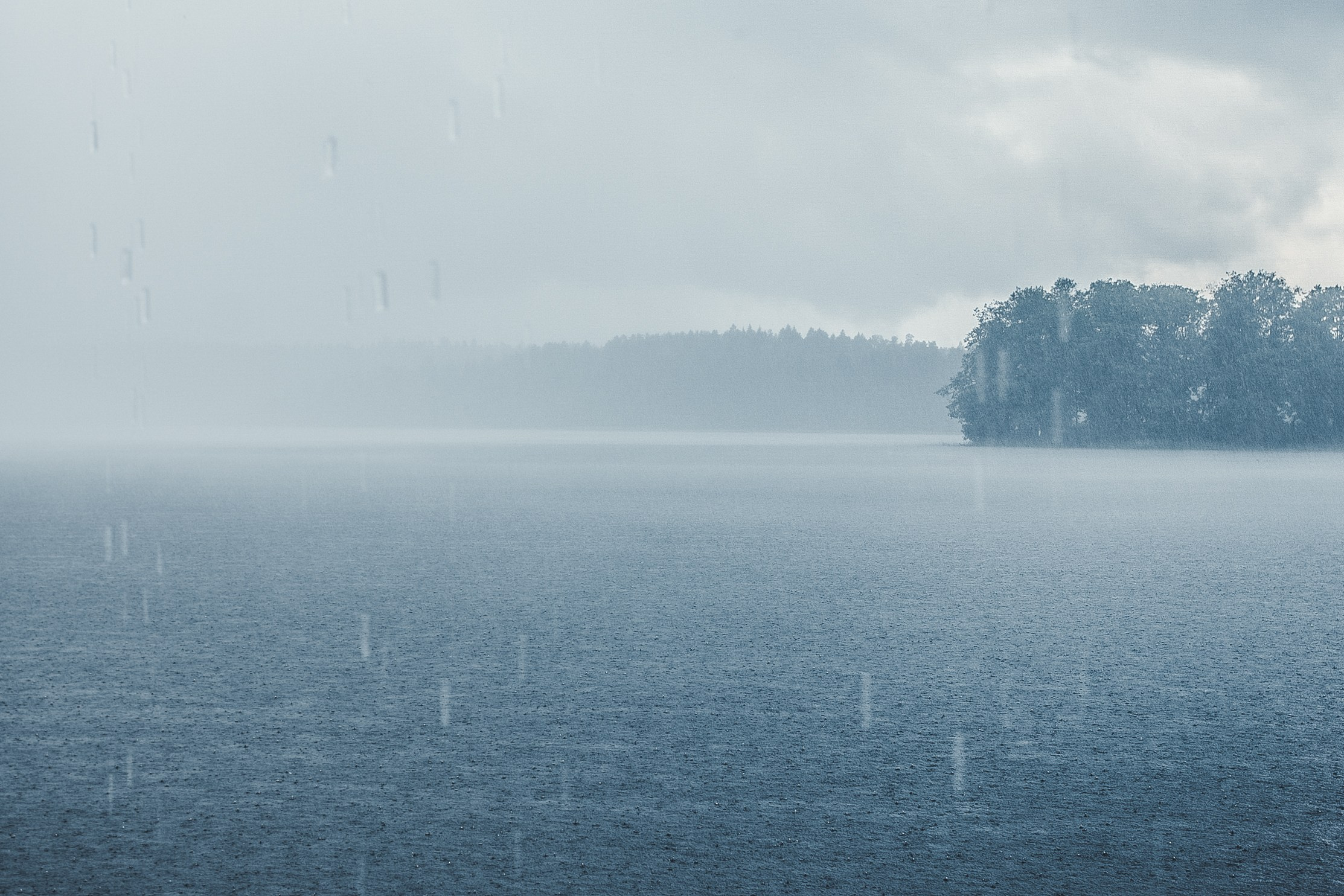 Контакты. Портретный и репортажный фотограф г. Санкт-Петербург Елена Плахотникова