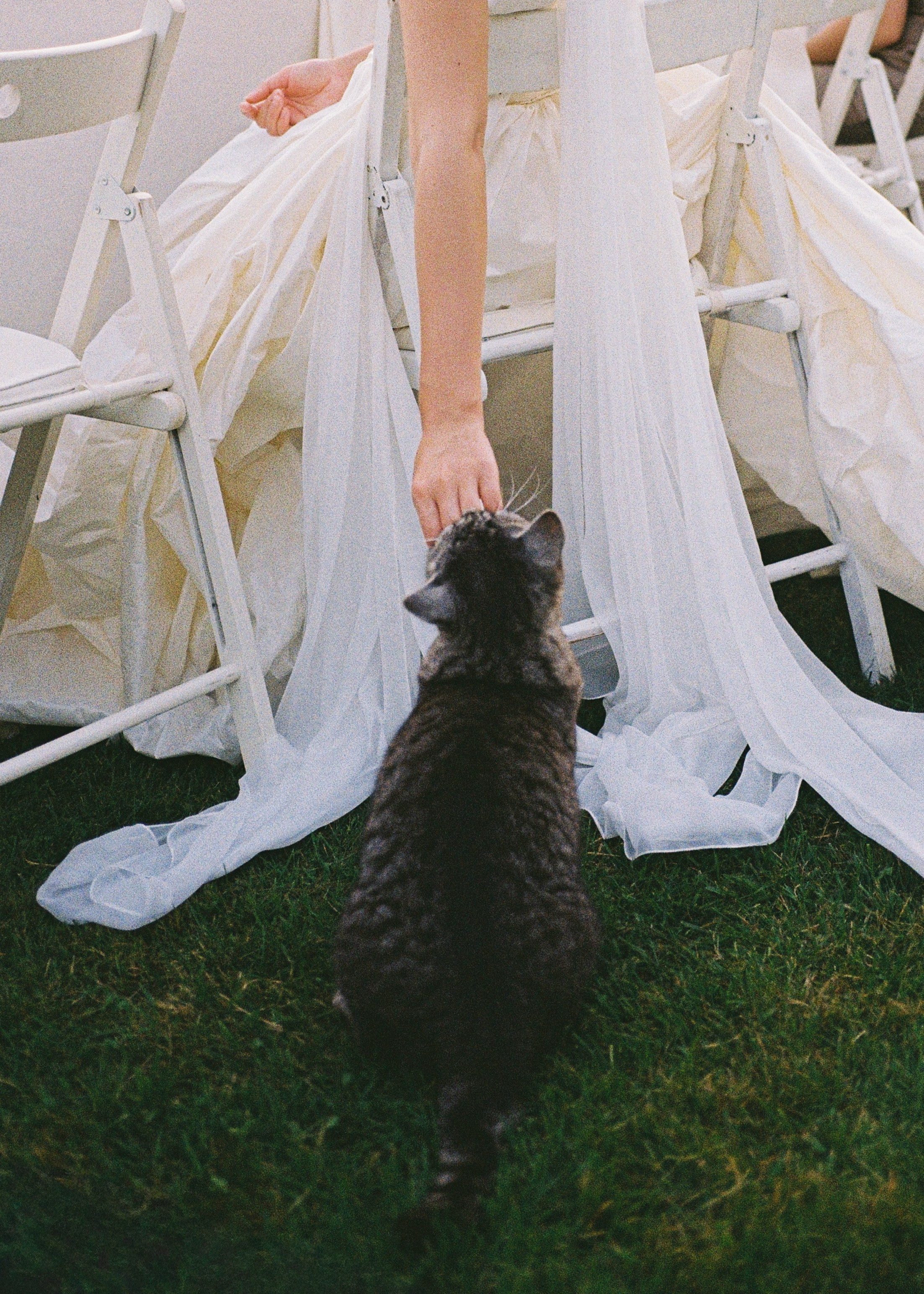 Simply can be special (1). Annbakhtina.com