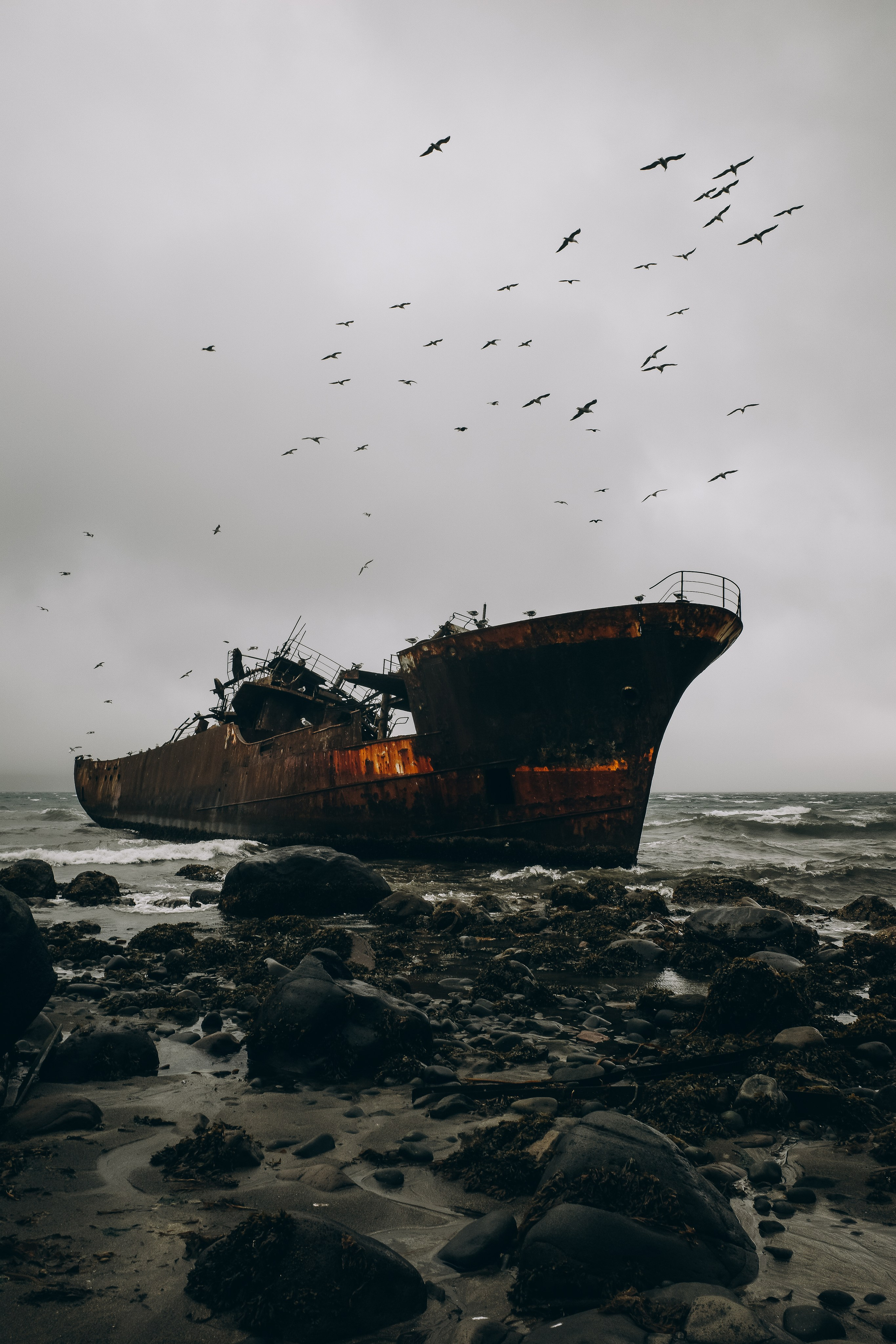 Выставка Курилы. Николай Филиппов Event & Concert Photographer Москвf