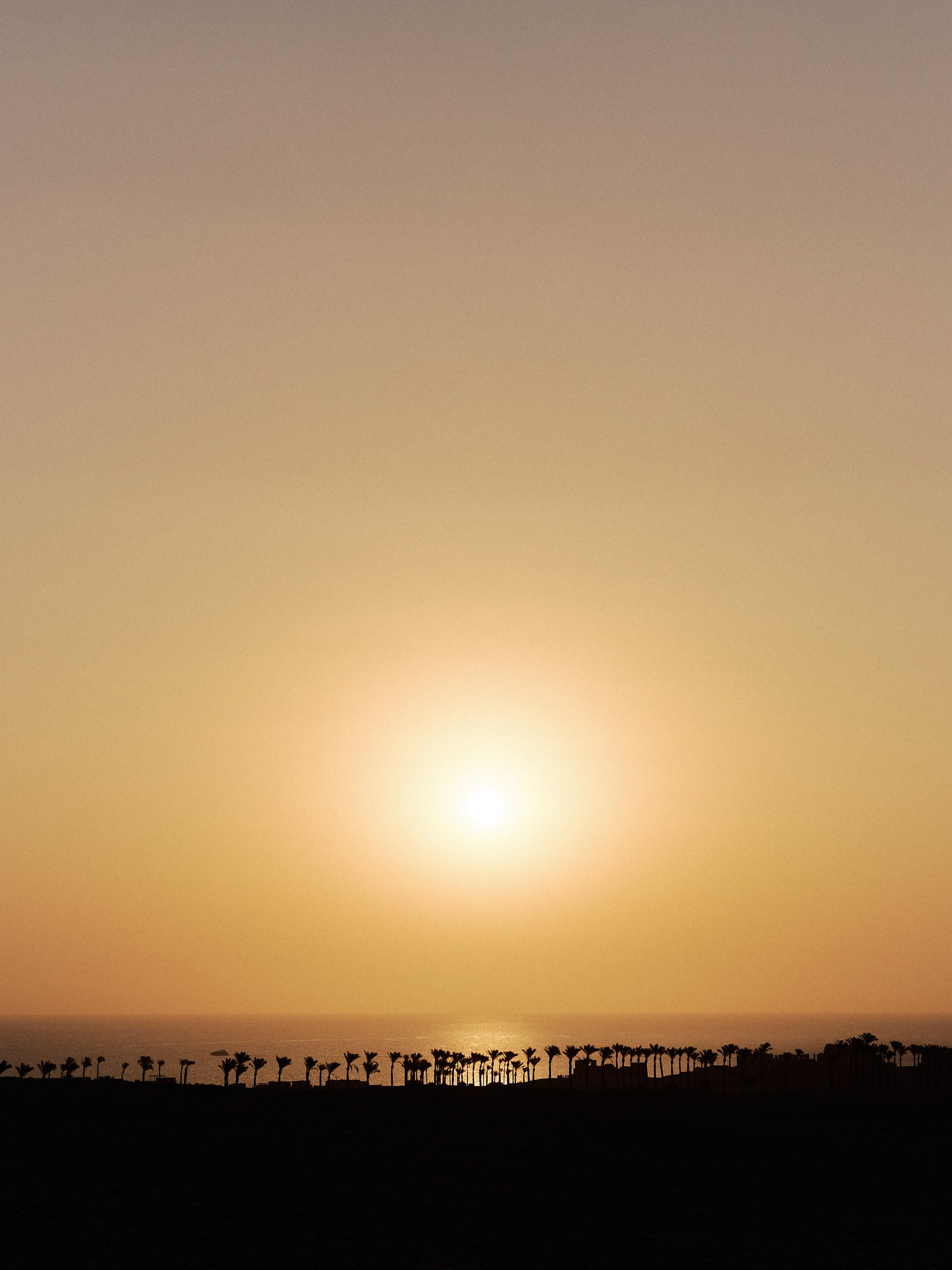 Другое 3. Jorgis Talè — photographer, kind person, teacher of arts and other mag