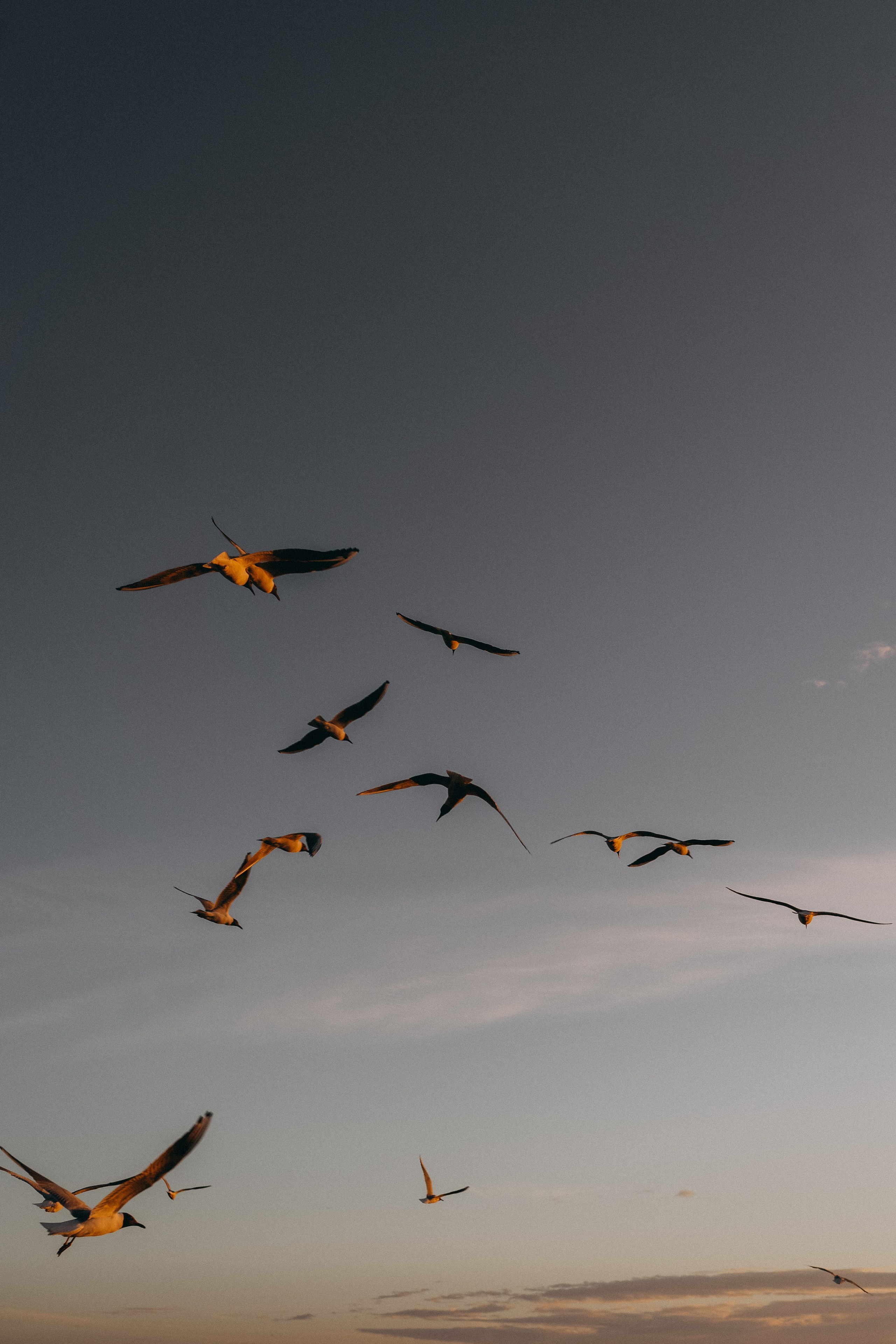 Семейная фотосессия на природе. Семейный фотограф в Москве Галина Гончар