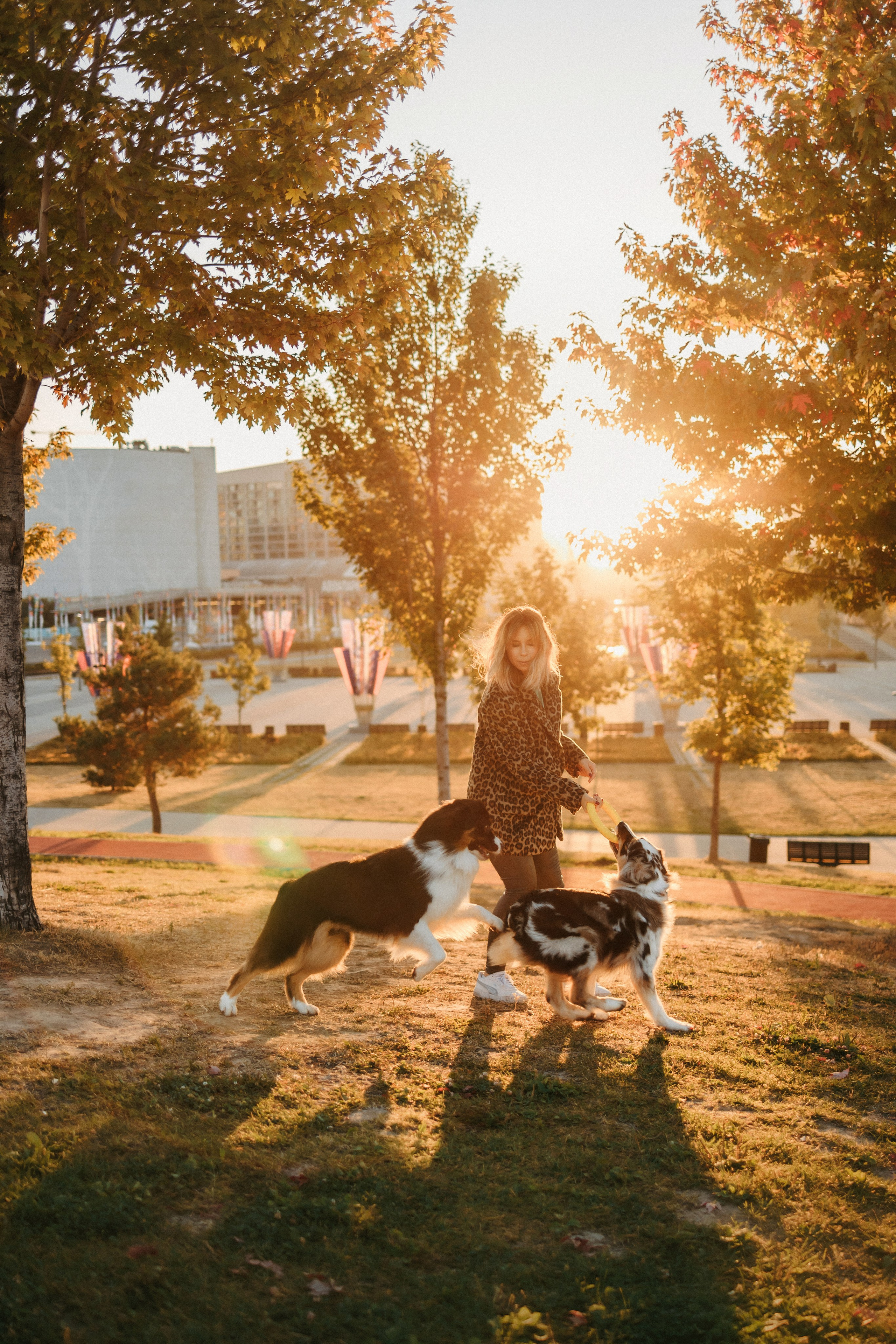Аня, Чарли и Ева. Фотограф-анималист Елена Радченко, Москва