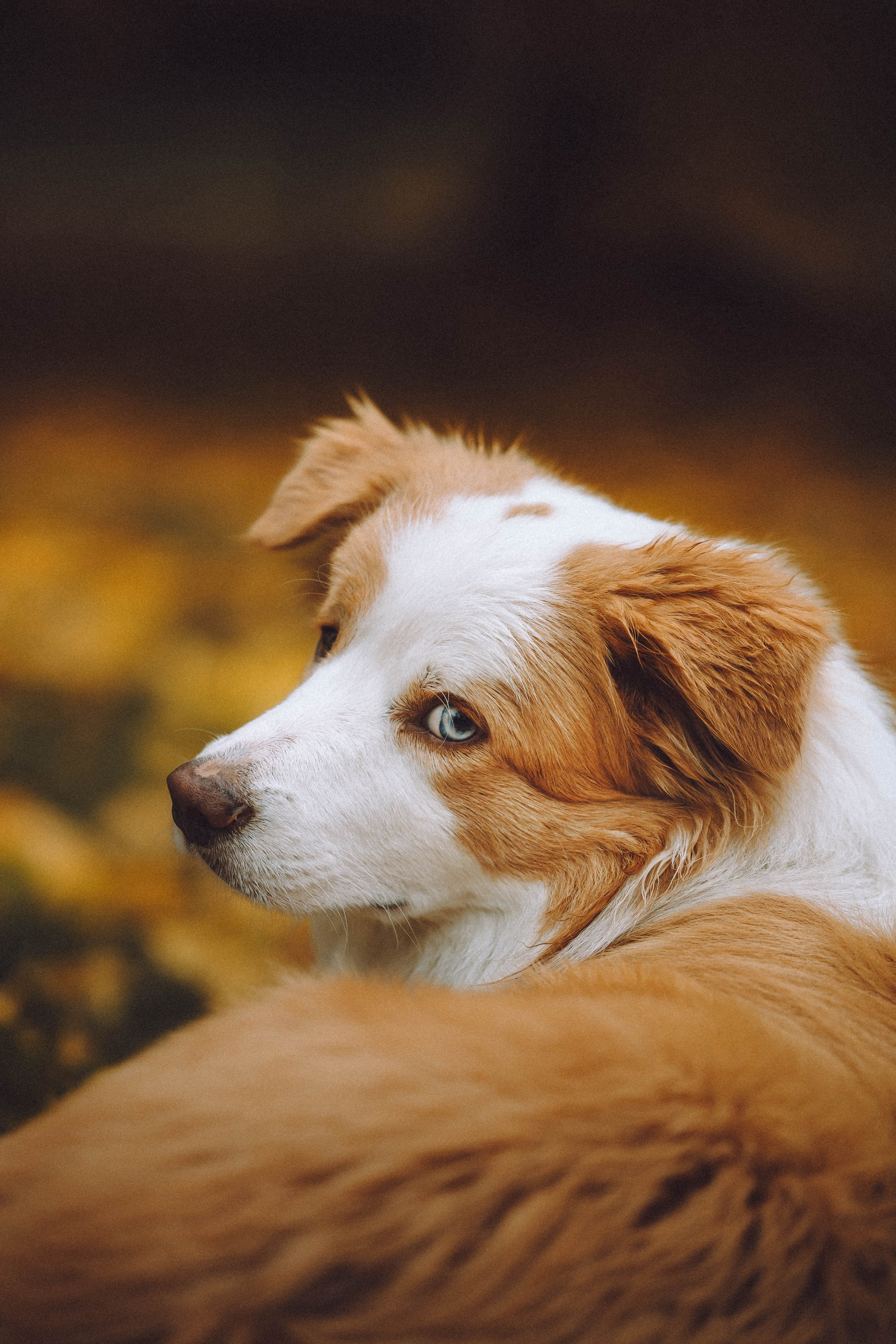 Алина, Витя и Асти