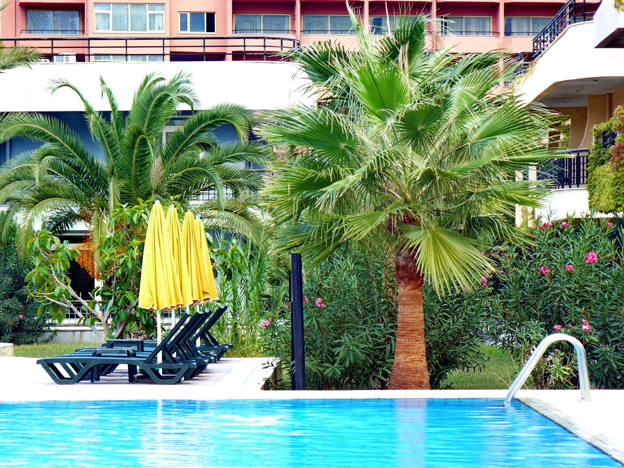 Кемер, Чамьюва 2008. Избранные фотографии