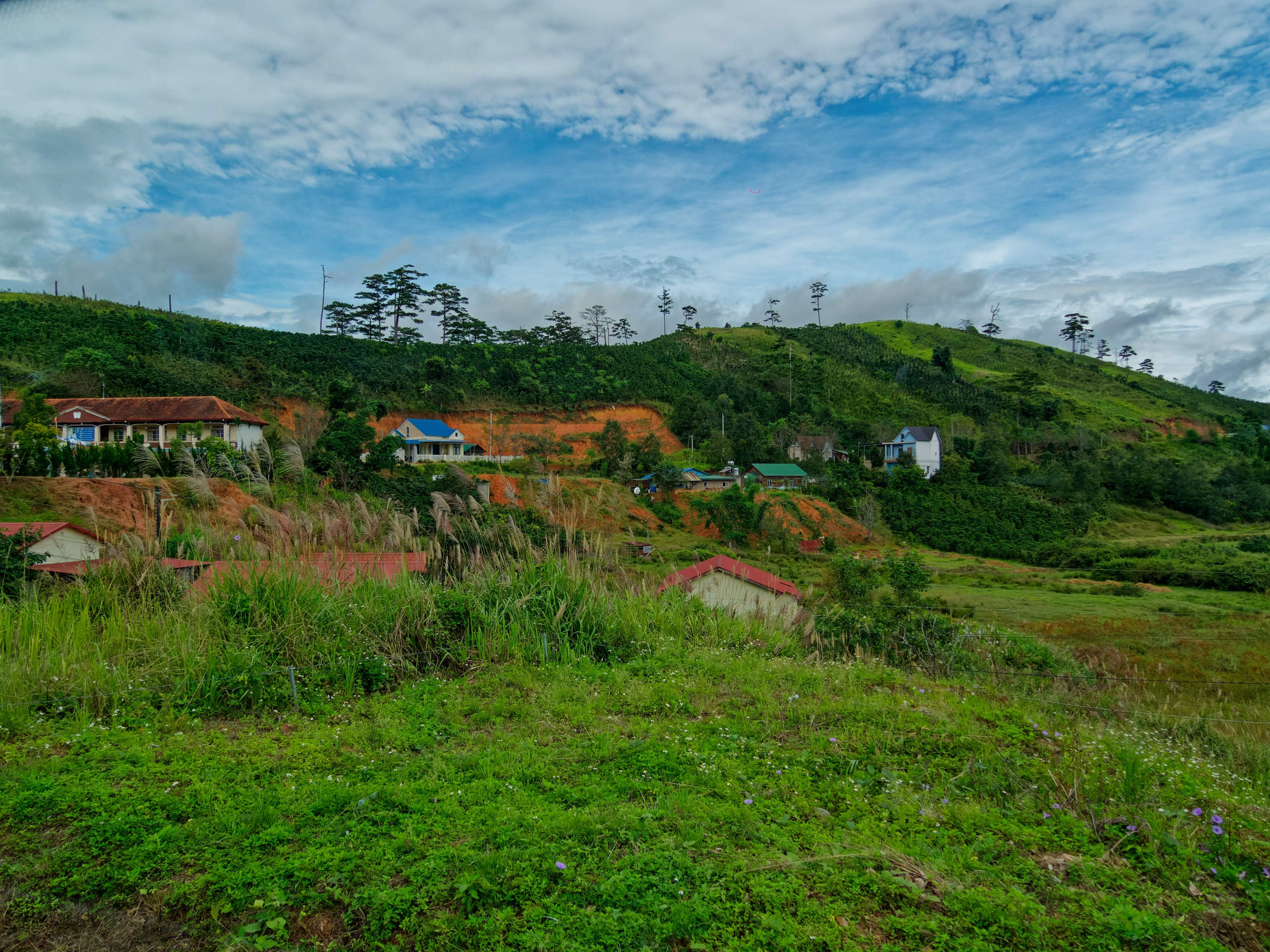 Далат 2023. Избранные фотографии