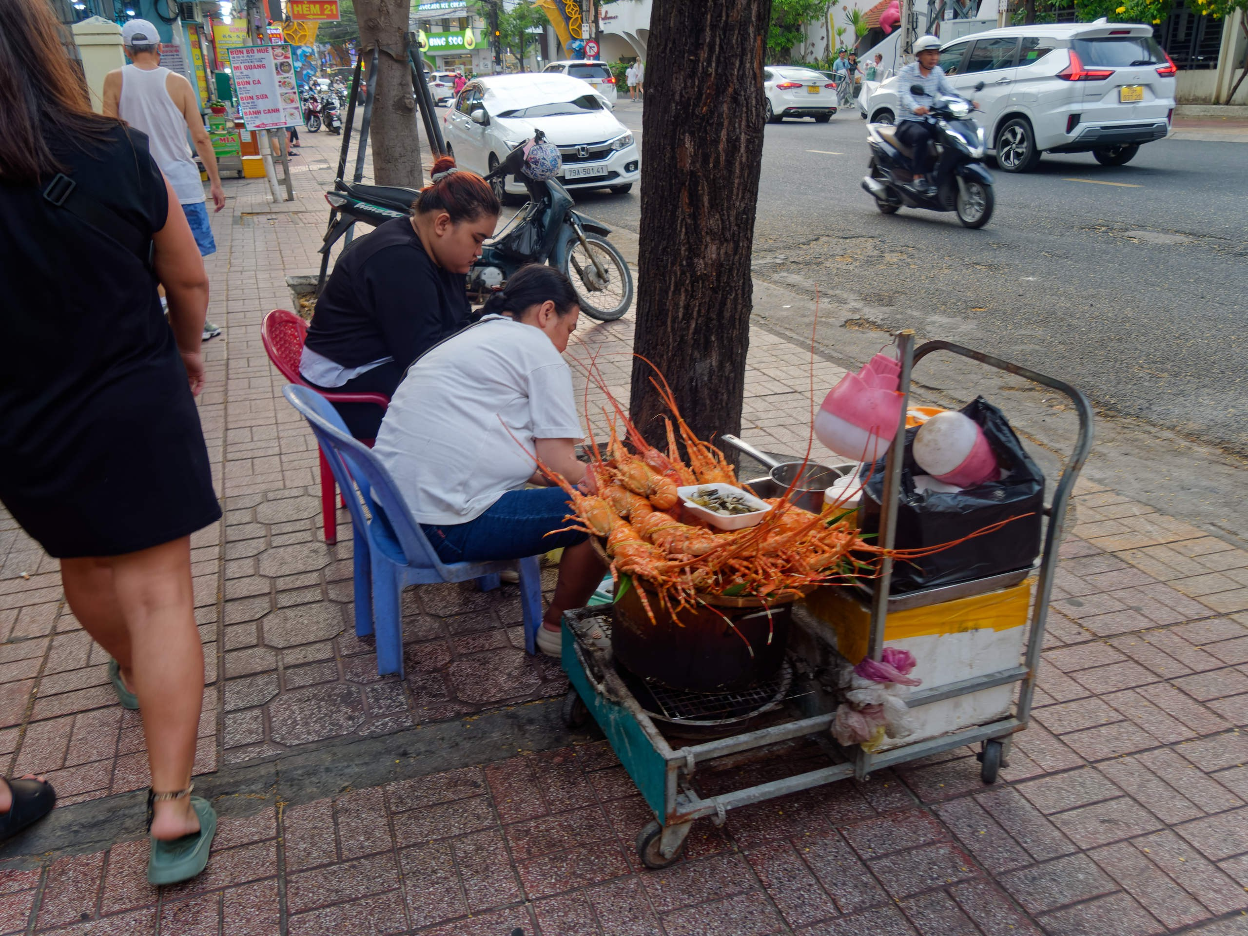 Нячанг 2025 (8). Избранные фотографии