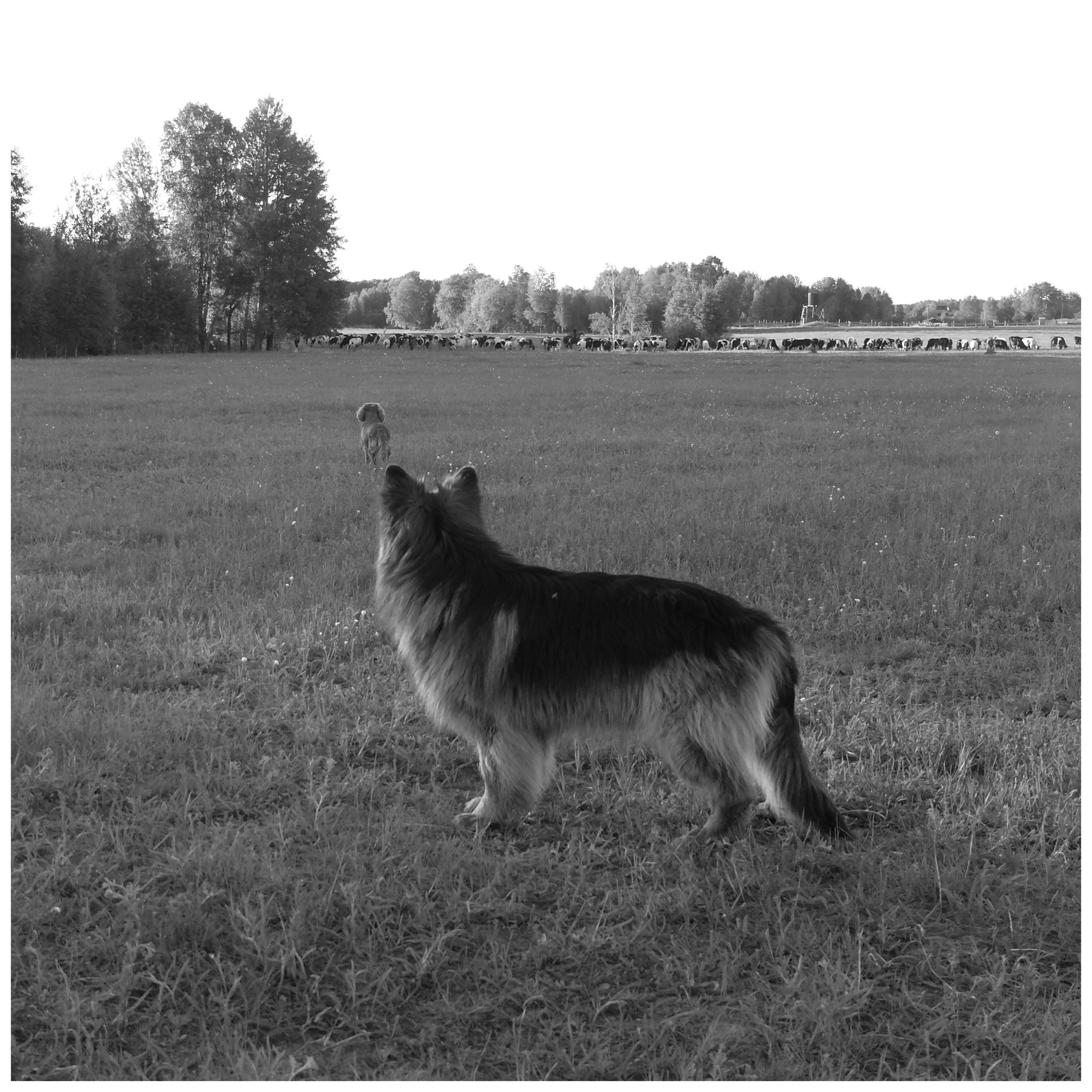 Промежуточные моменты (2022)