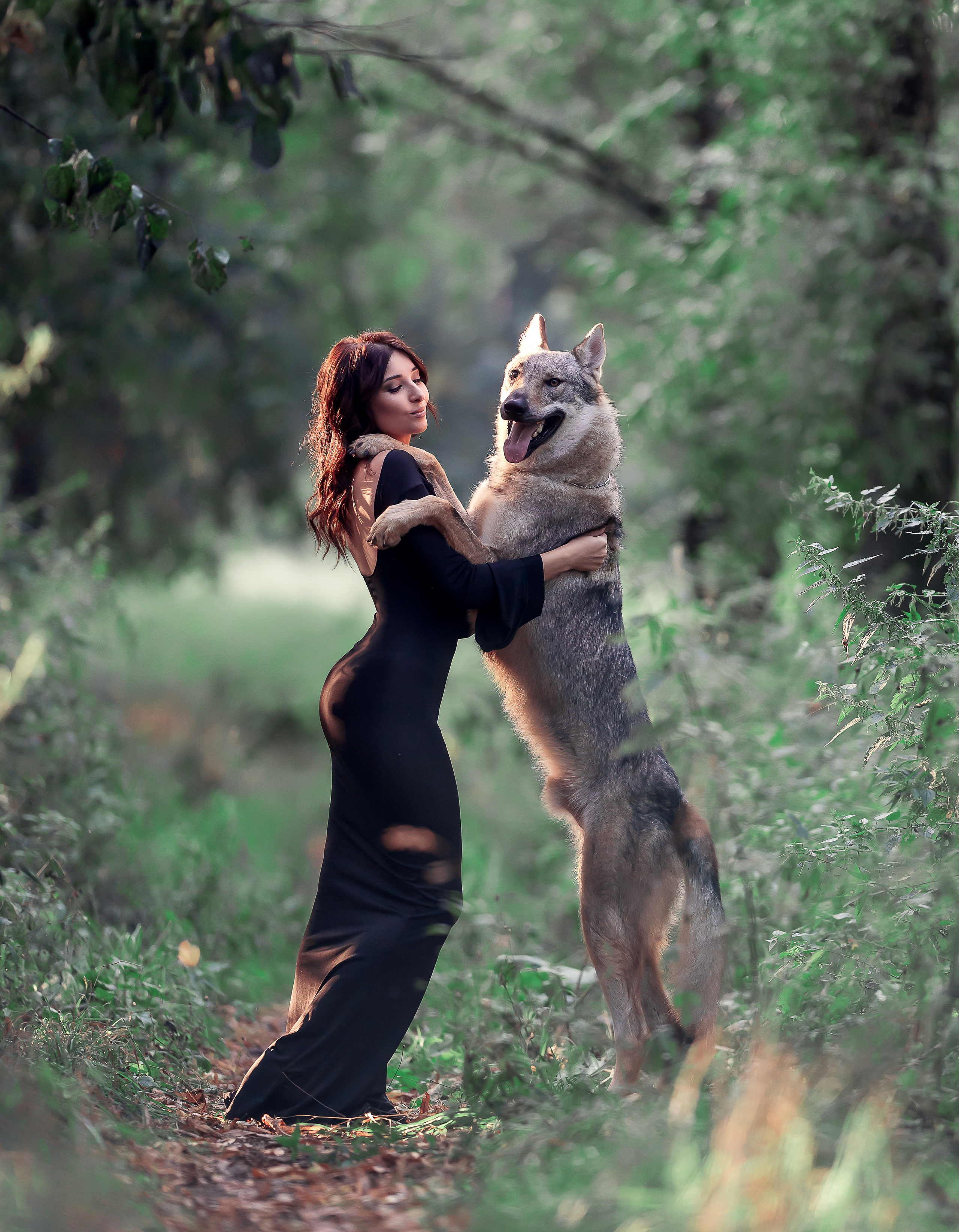 Волки. Профессиональный фотограф в Москве Марина Григорьева