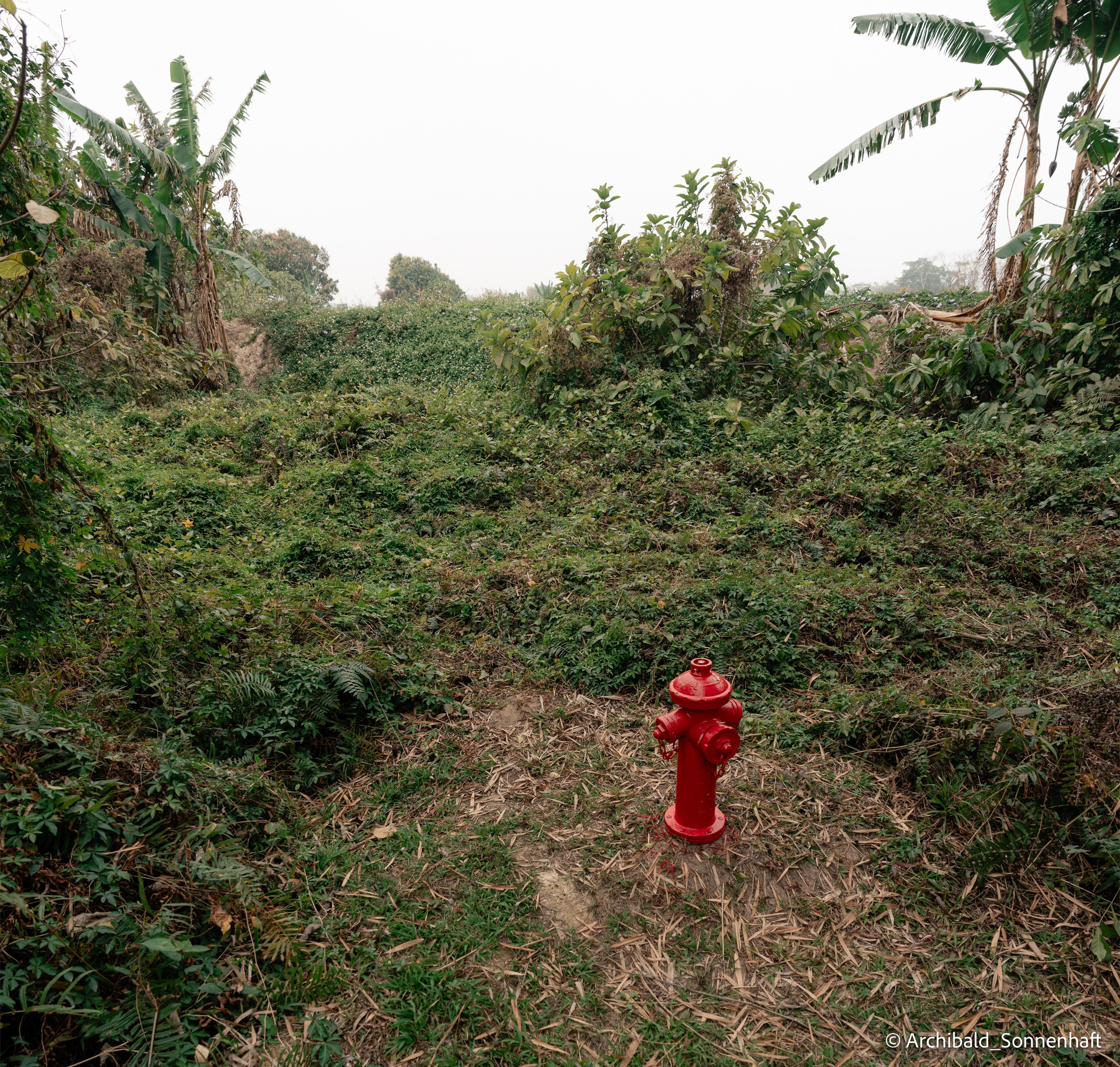 Diaolou in Kaiping. Photographer in Guangzhou, China. Archibald Sonnenhaft