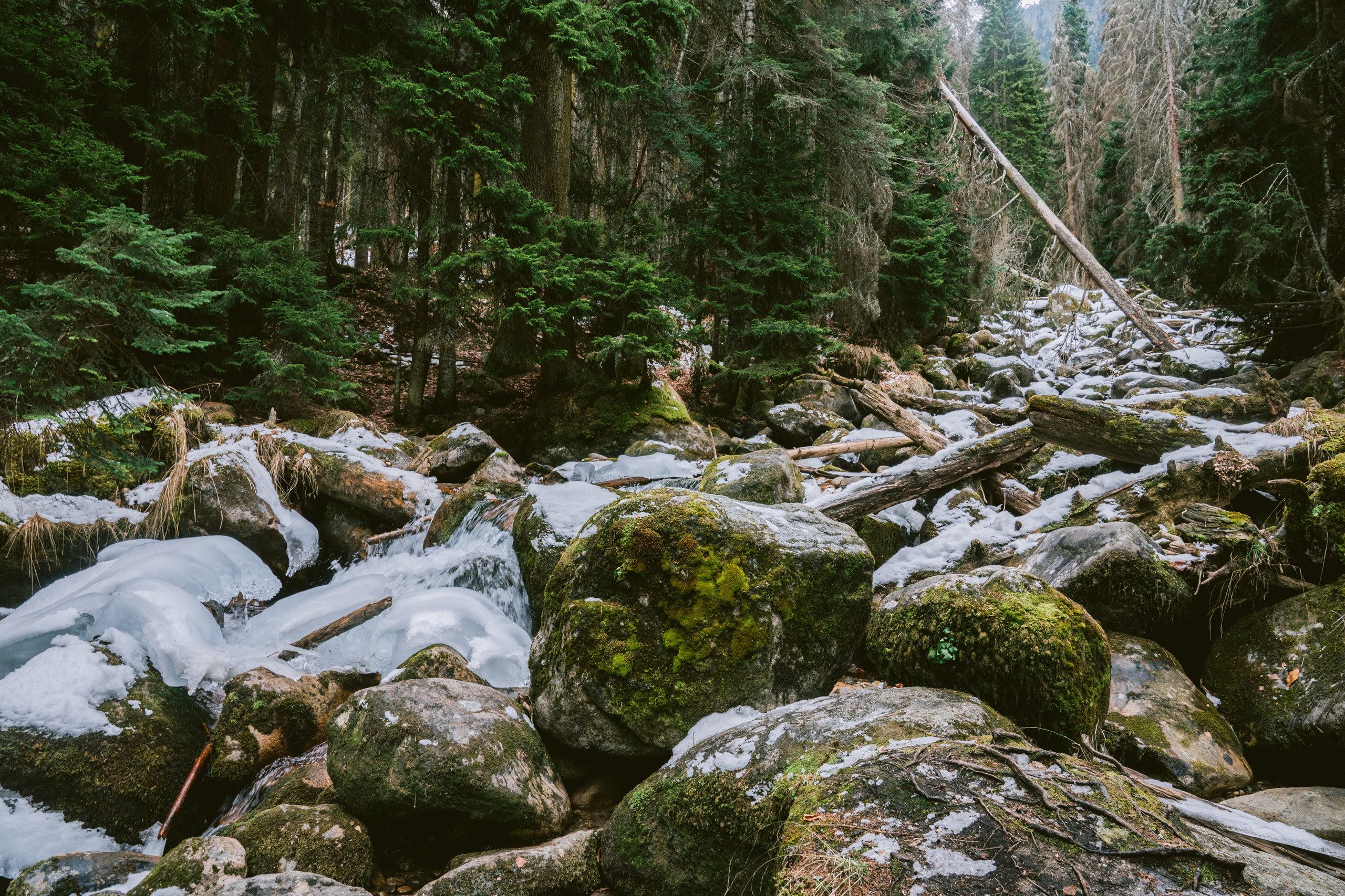 Фотосессия в горах. PhuQuoc photographer — Phu Quoc wedding photographer