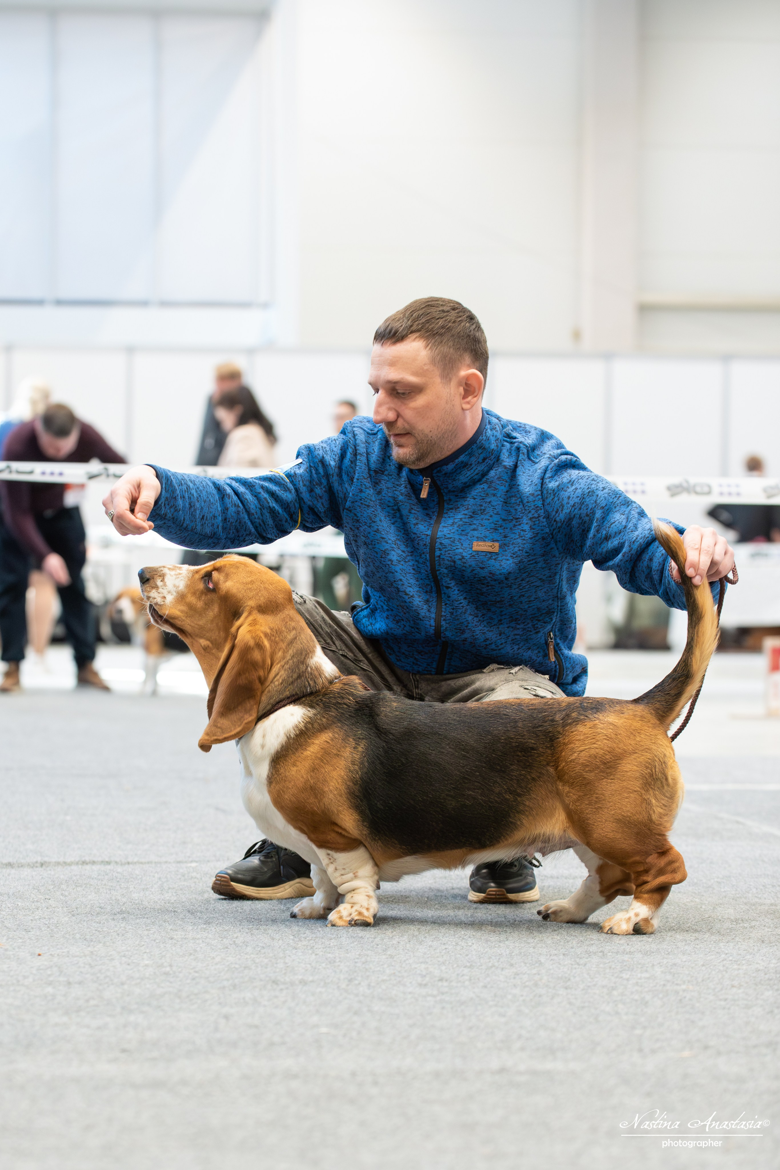 Выставки. Фотограф — Анималист
