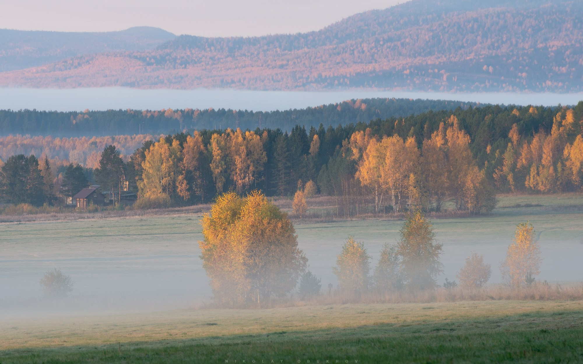 Русская золотая осень: поле на краю поселка, осенние деревья в утреннем тумане.