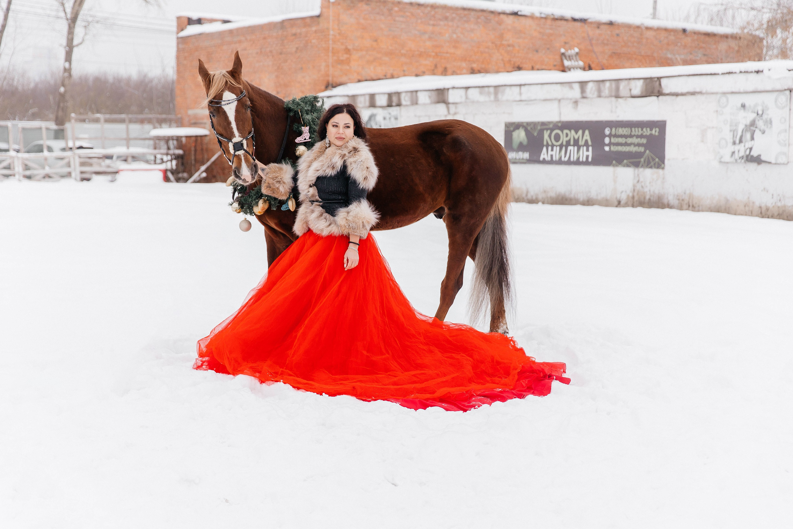 Лошади. Ваш фотограф в Москве и области Юлия