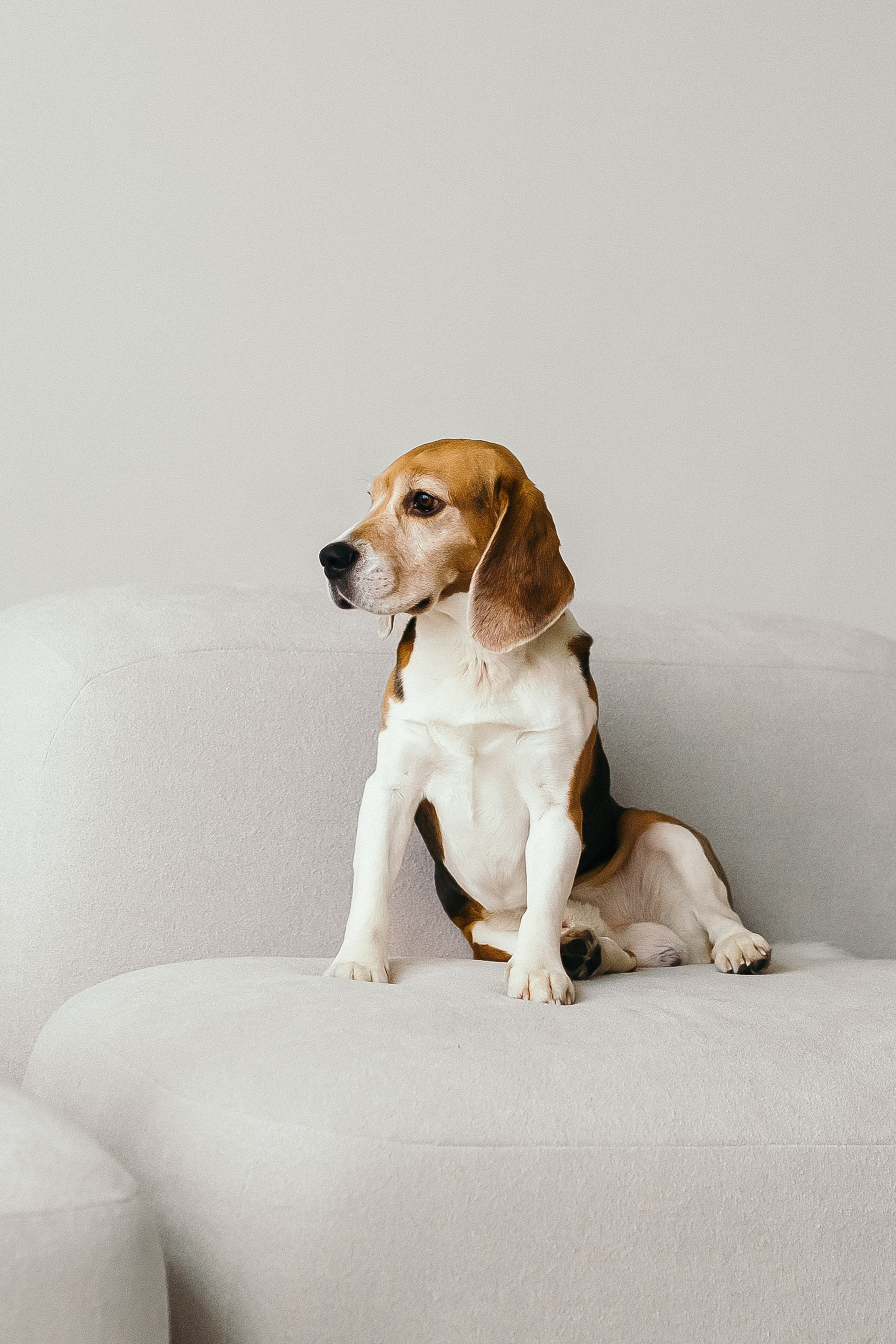 Семья Лины и Алексея. Портретный и семейный фотограф в Минске